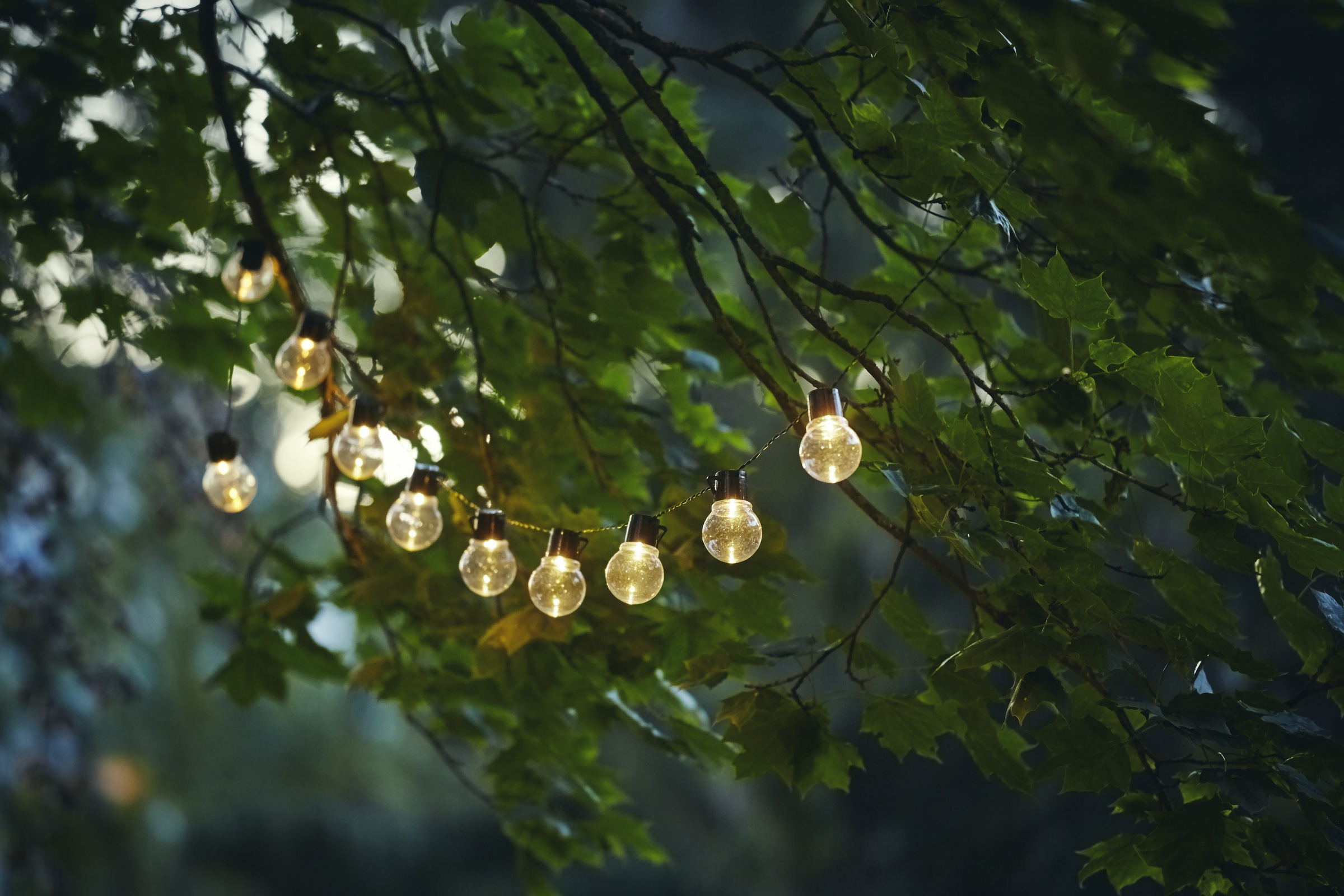 Parforce Traditional Hunting LED-Lichterkette »Partaj Solar« 10 Stk.-flammig Ø 5 cm, ca. 1,8 m + 2 m Zuleitung, klar, Kunststoff, Akku, outdoor