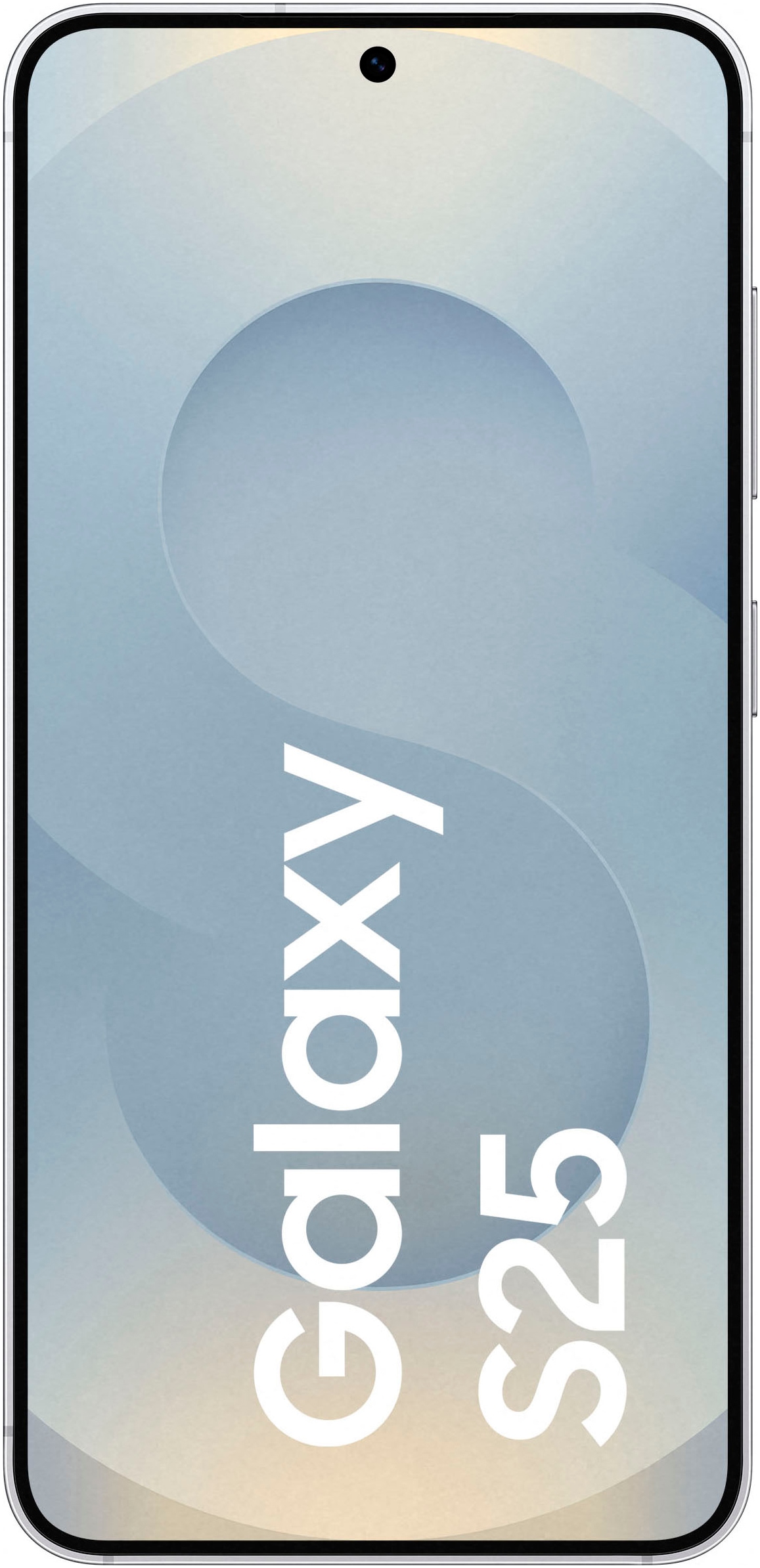 Samsung Smartphone »Galaxy S25« Silver Shadow