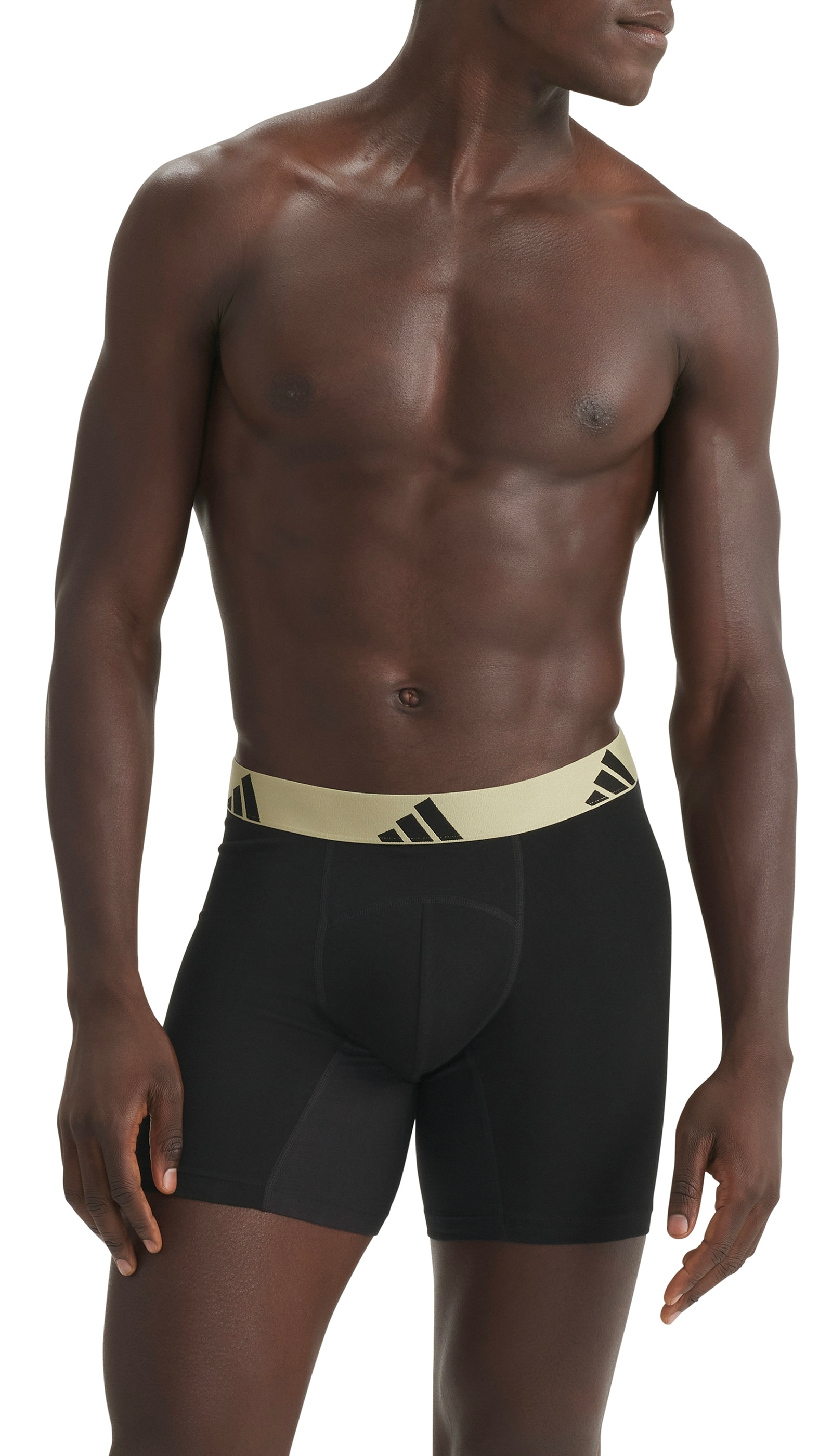 adidas Sportswear Boxer »Active Flex Cotton Ergonomic« Belüftete Mesh-Rückenpartie und -Schritt, elastisch, ohne Eingriff