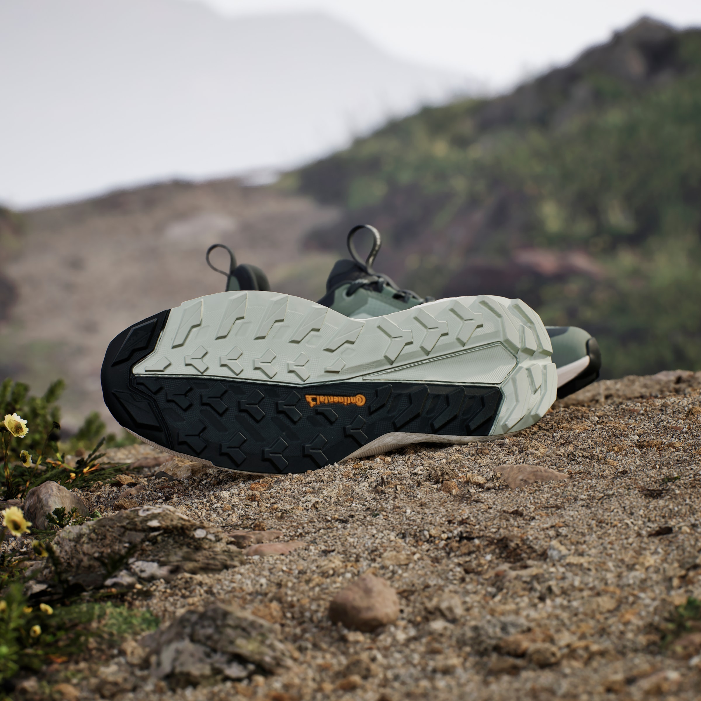 adidas TERREX Wanderschuh »TERREX FREE HIKER 2.0 LOW GORE-TEX«, wasserdicht