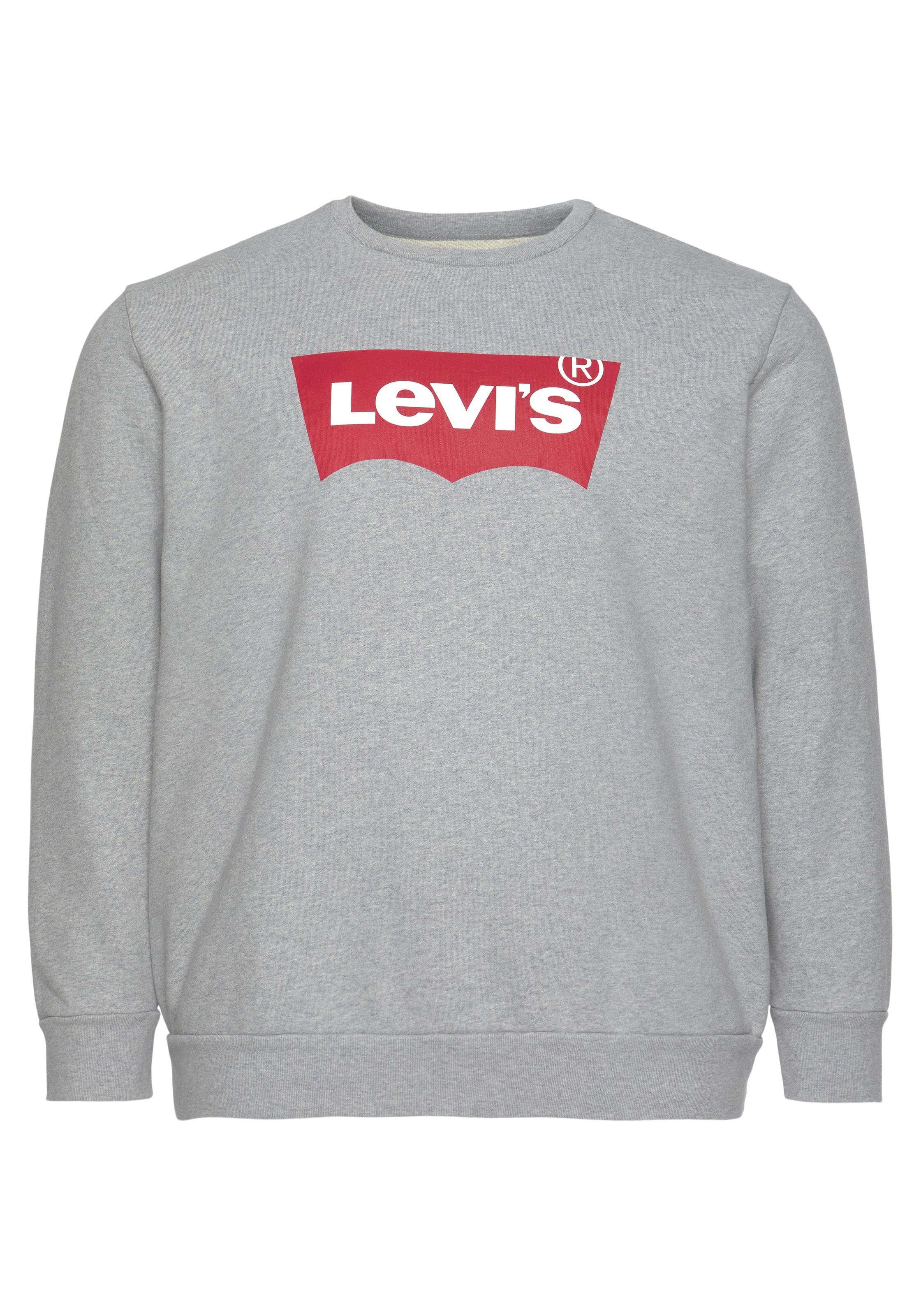 Levi's® Plus Sweatshirt »LE BIG GRAPHIC CREW«, mit Logodruck