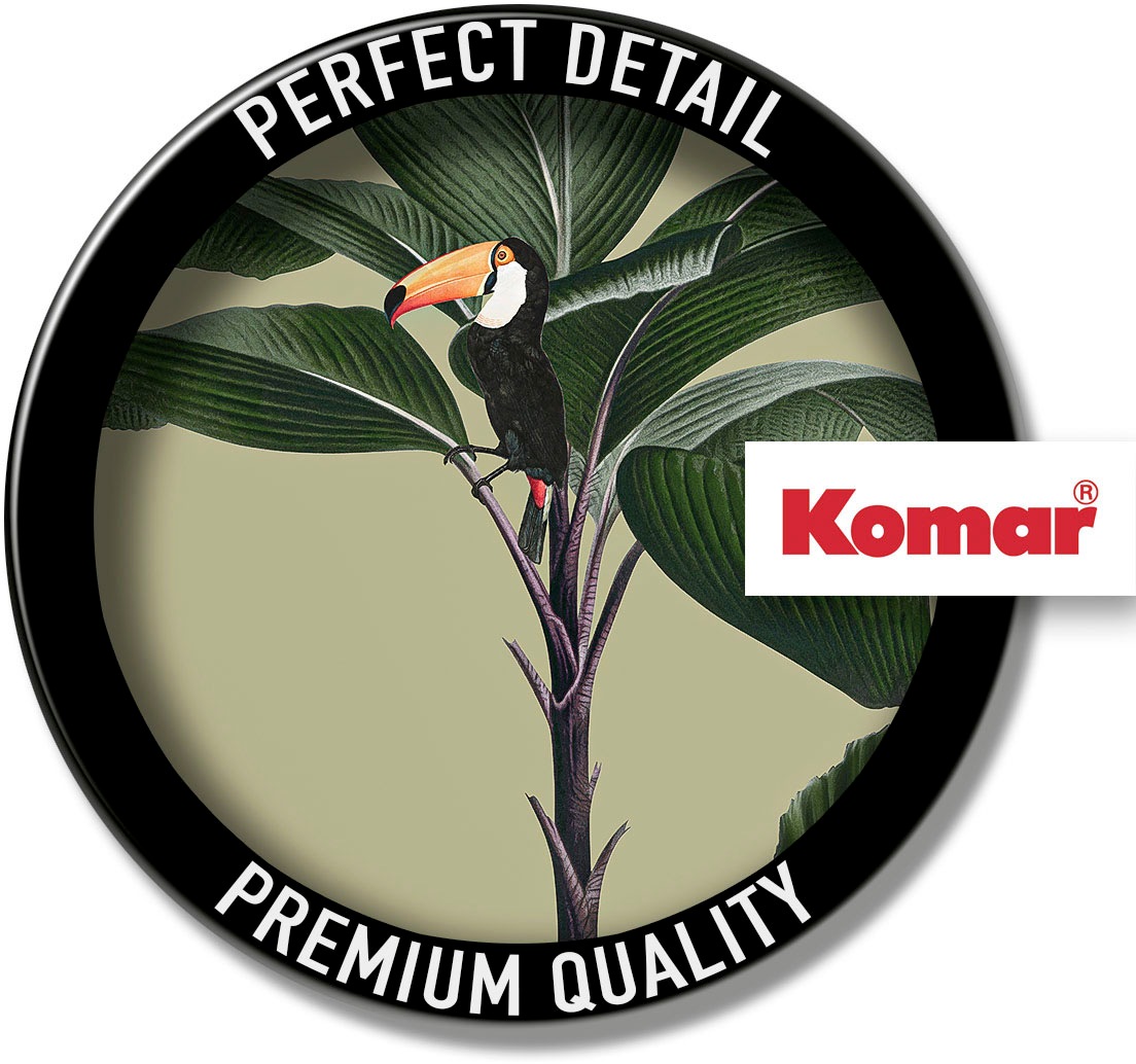 Komar Wandbild »Botanical Garden Palmtree«, (1 St.), Deutsches Premium-Poster Fotopapier mit seidenmatter Oberfläche und hoher Lichtbeständigkeit. Für fotorealistische Drucke mit gestochen scharfen Details und hervorragender Farbbrillanz.