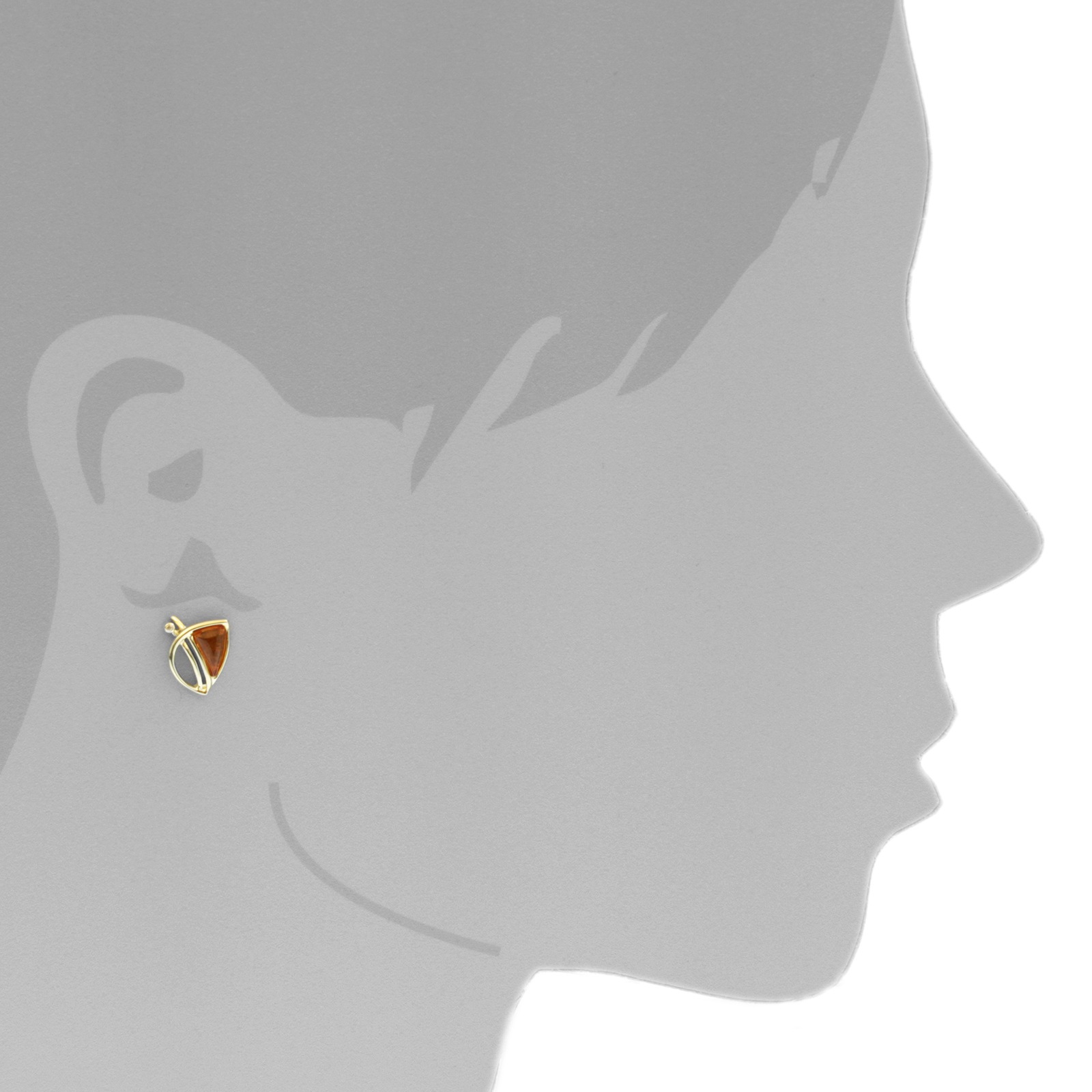 OSTSEE-SCHMUCK Paar Ohrstecker »- Astrud - Gold 333/000 - Bernstein/Zirk.«