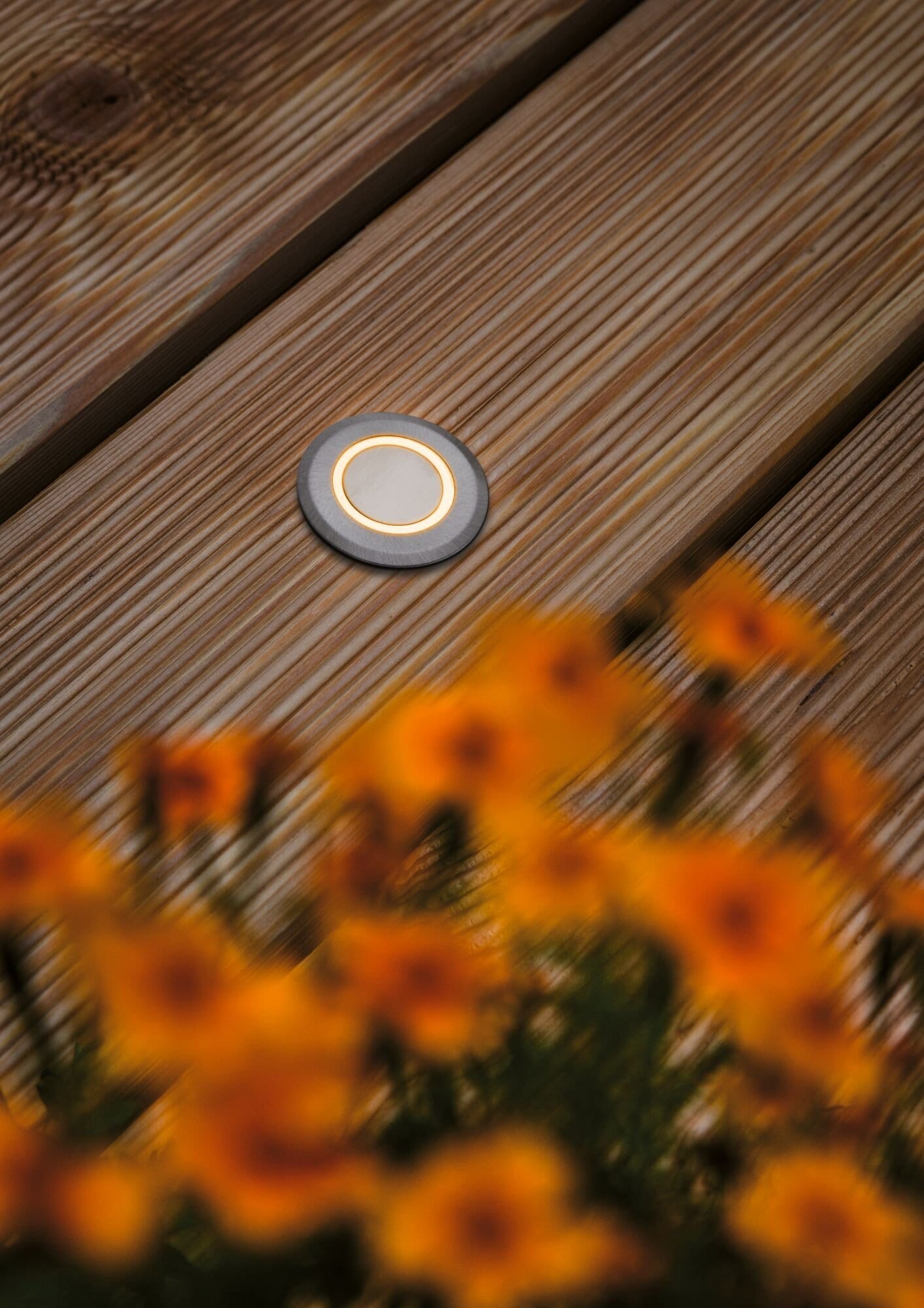 Paulmann LED Einbauleuchte »IP67 rund 50mm 2200K 2,2W 15lm 230V Alu Kunststoff, Metall«, 1 flammig, Bodeneinbauleuchte Goldlicht insektenfreundlich