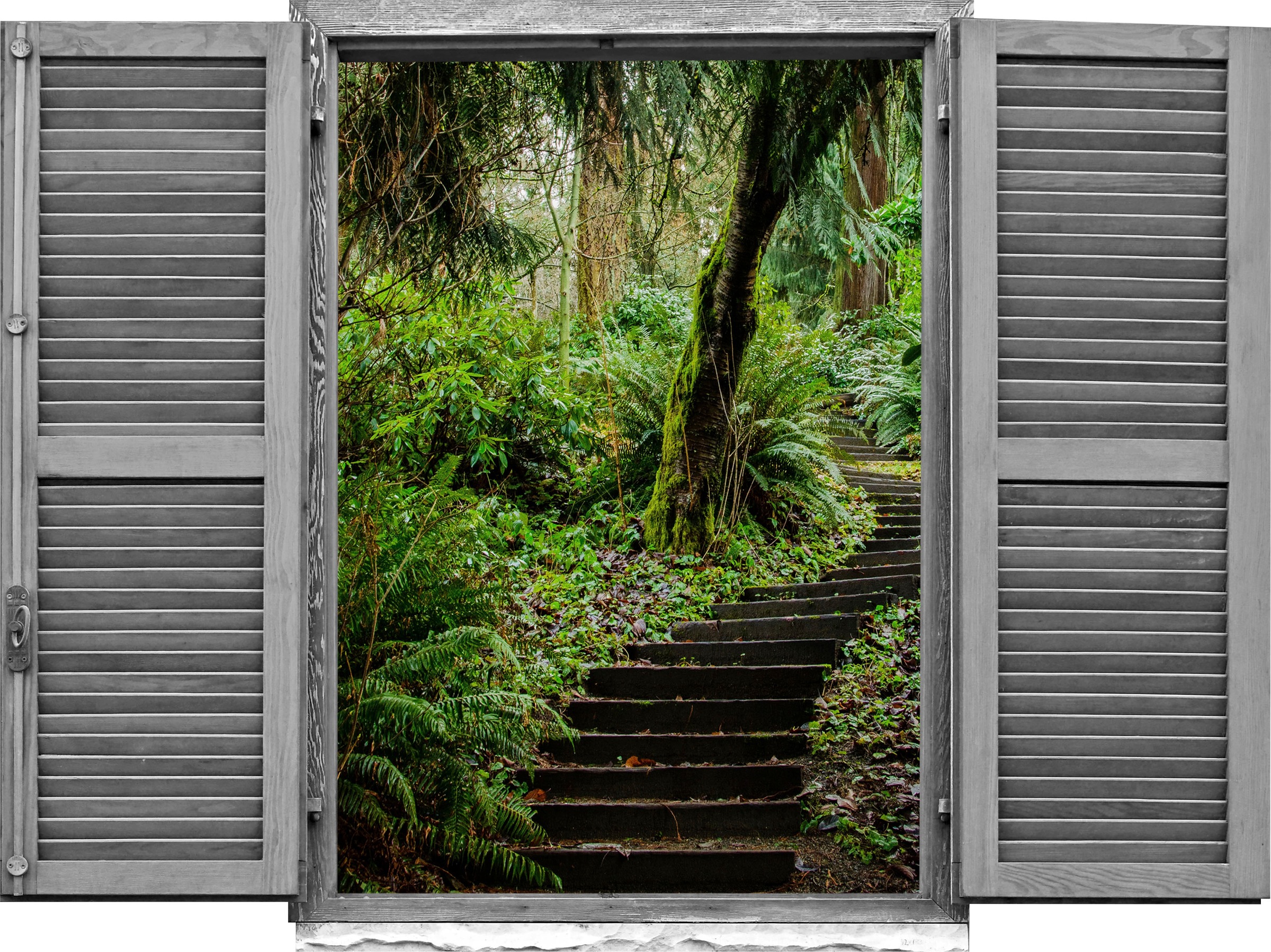 queence Wandtattoo »Waldweg«