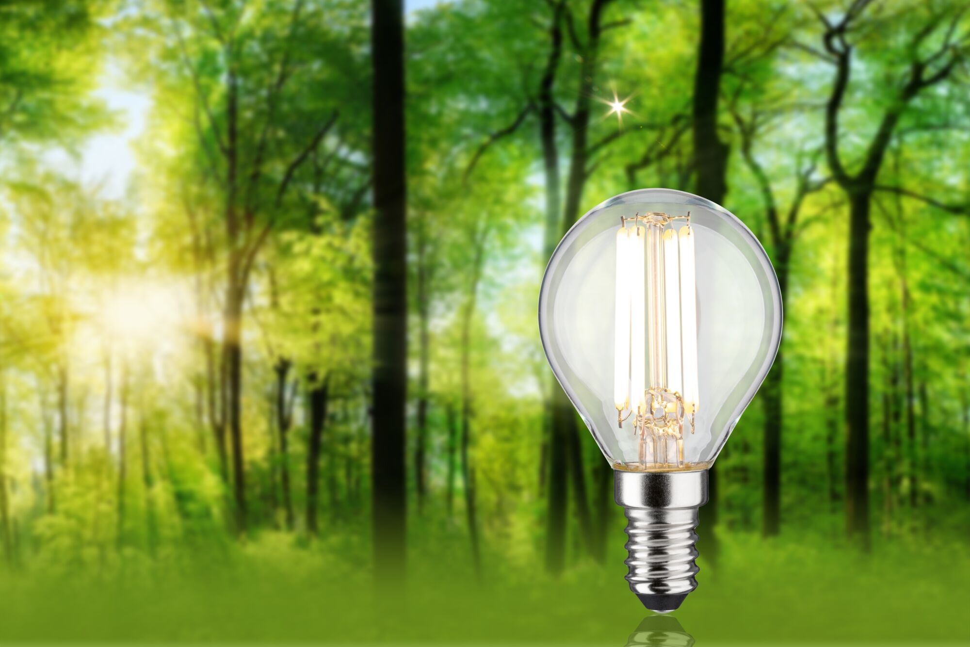 Paulmann LED-Leuchtmittel »Eco-Line Tropfen 840lm 4W 3000K klar 230V« E14 1 Stk. Warmweiß