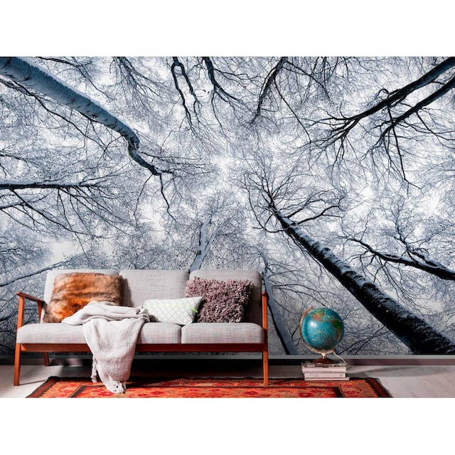 Komar Vliestapete »Up«, 400x250 cm (Breite x Höhe), Vliestapete, 100 cm  Bahnbreite online kaufen bei OTTO