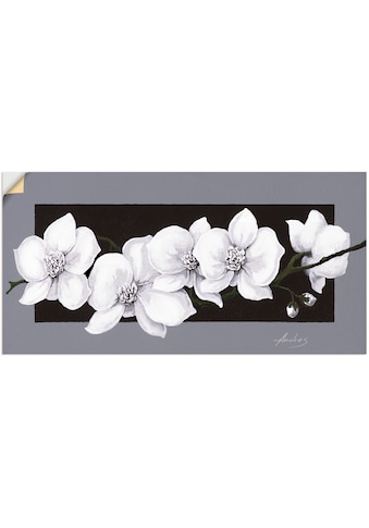 Artland Wandbild »Weiße Orchideen auf grau«, Blumen, (1 St.), als Alubild,... kaufen