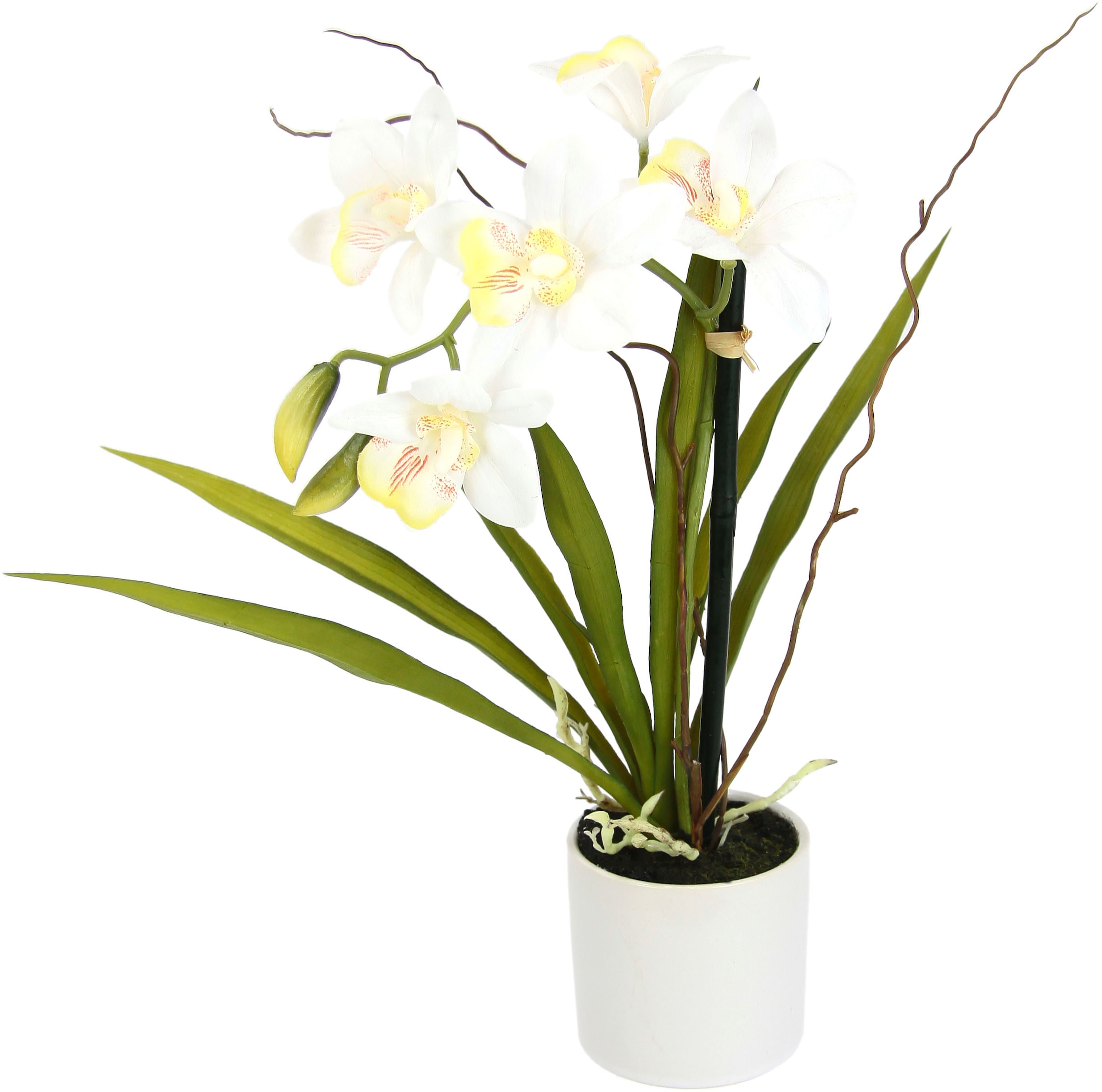 I.GE.A. Kunstorchidee »Orchidee«, (1 St.), im Keramiktopf kaufen online bei  OTTO
