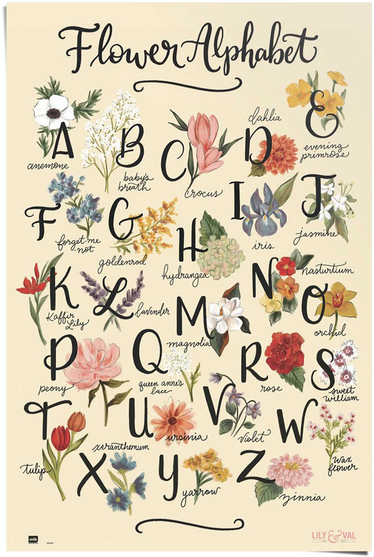 Reinders! Poster »Blumenalphabet«