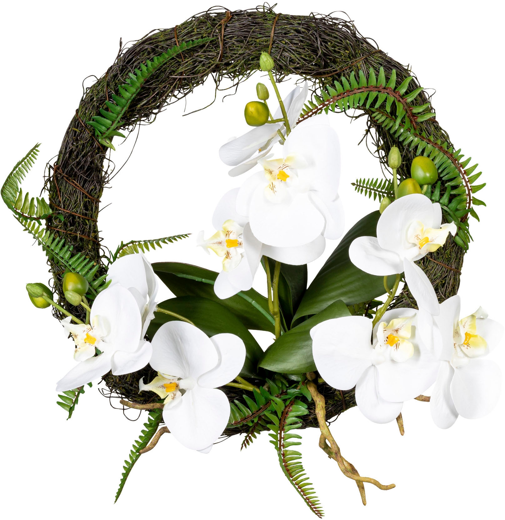 Creativ green Kunstkranz »Wandkranz Online OTTO Phalaenopsis« im Shop bestellen Orchidee