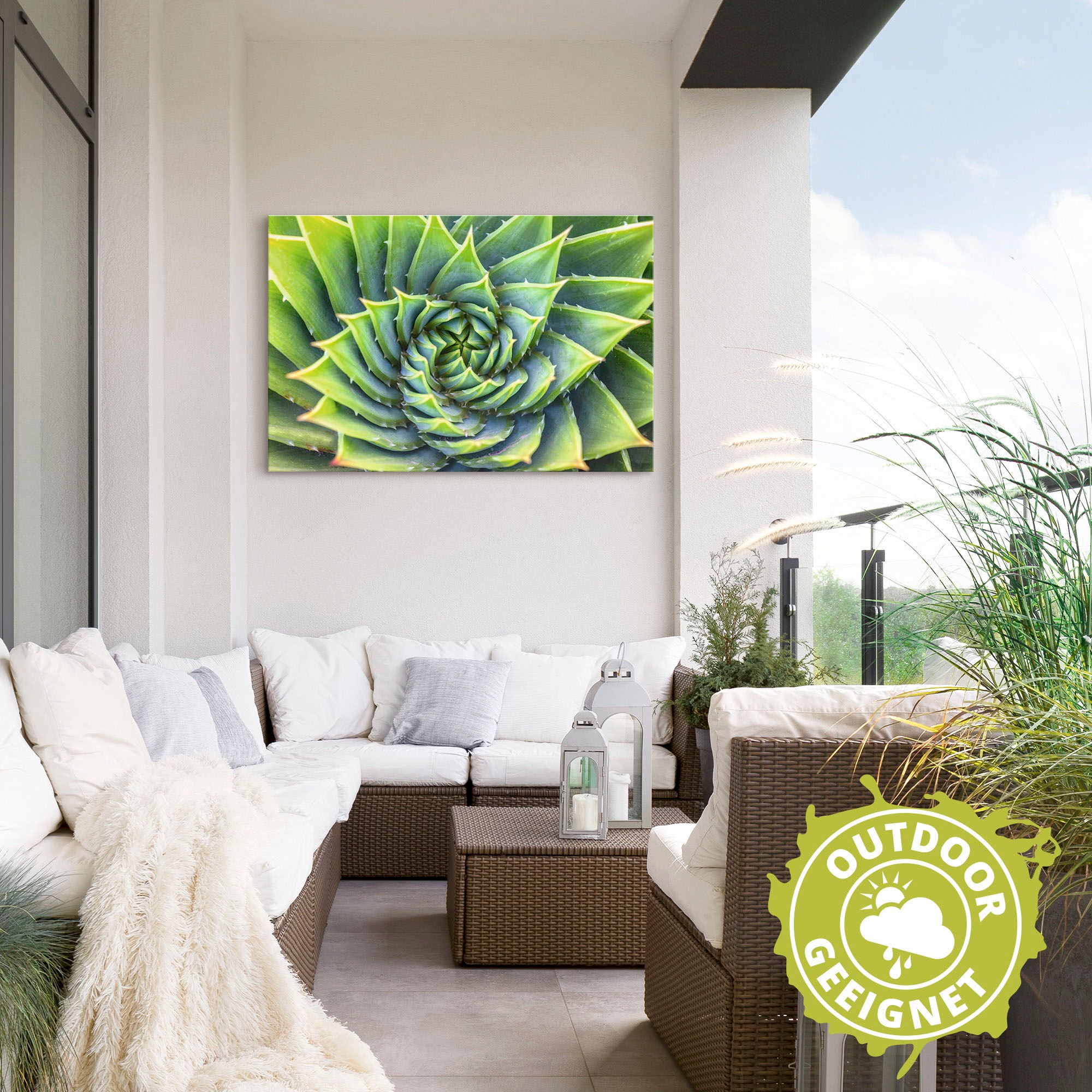 Artland Wandbild »Grüne Spirale«, Pflanzenbilder, (1 St.), als Alubild, Leinwandbild, Wandaufkleber oder Poster in versch. Größen