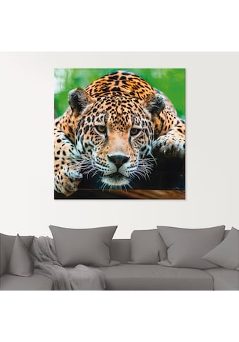 Glasbild »Südamerikanischer Jaguar«, Wildtiere, (1 St.)