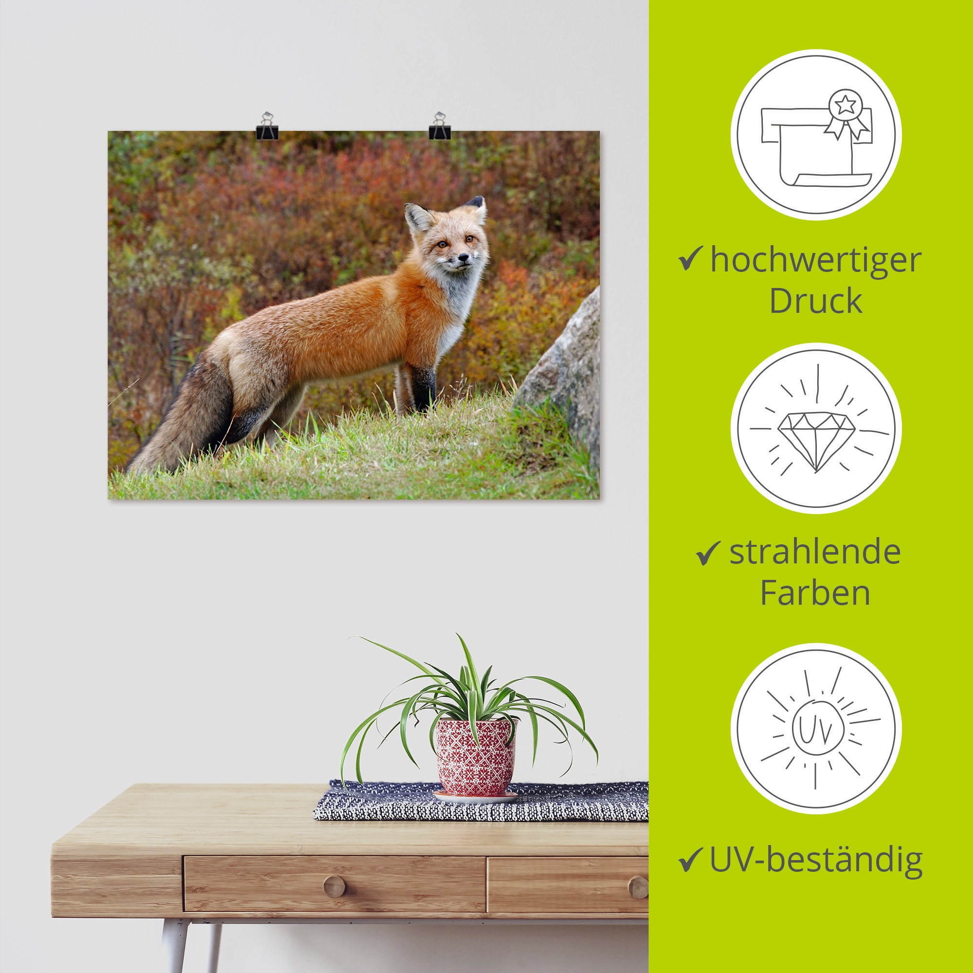 Artland Wandbild »Fuchs I«, Wildtiere, (1 St.), als Leinwandbild, Poster in verschied. Größen