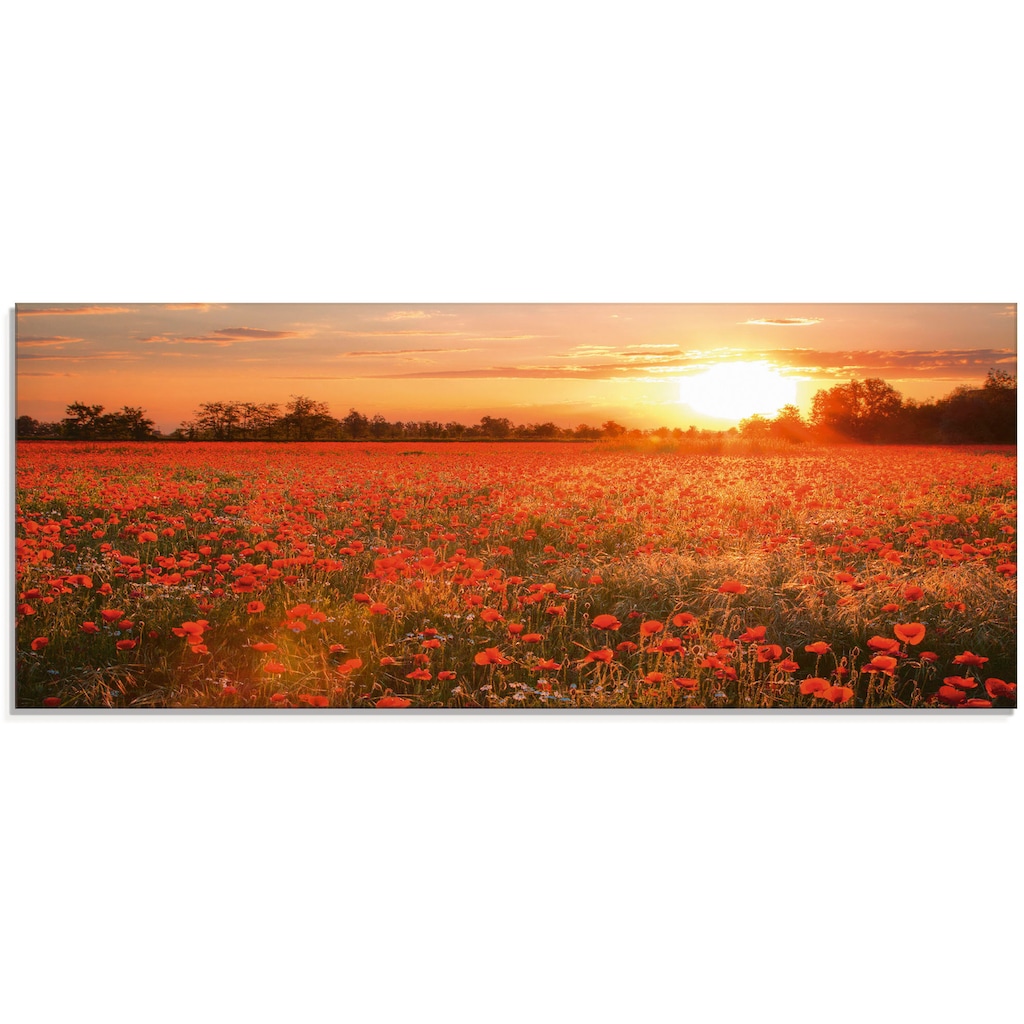 Artland Glasbild »Mohnblumenfeld bei Sonnenuntergang«, Blumen, (1 St.)