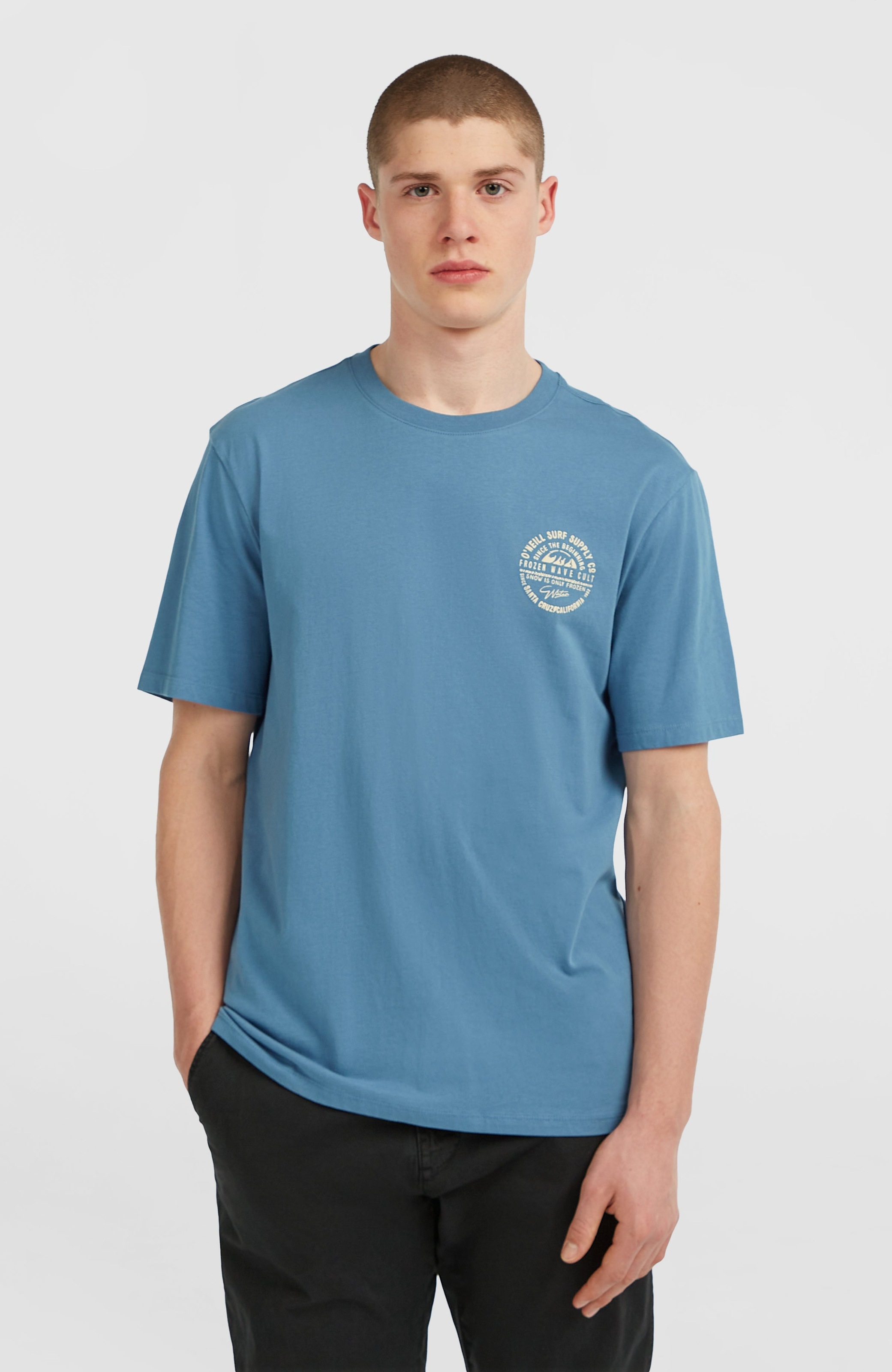 O'Neill T-Shirt »O'NEILL CHEST PRINT T-SHIRT«, (1 tlg.)