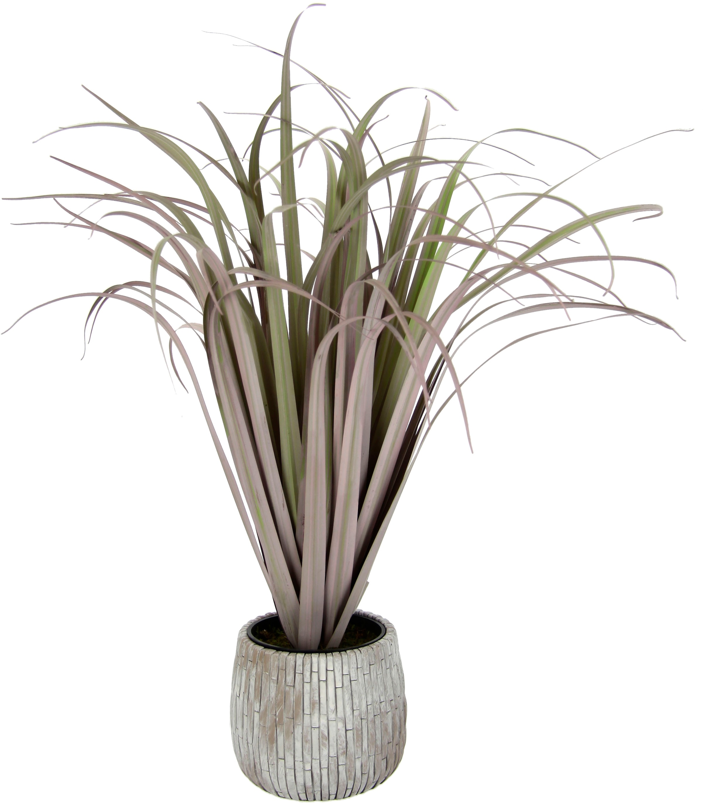 »Gras«, bei Keramik Übertopf I.GE.A. Kunstpflanze aus online Mit OTTO