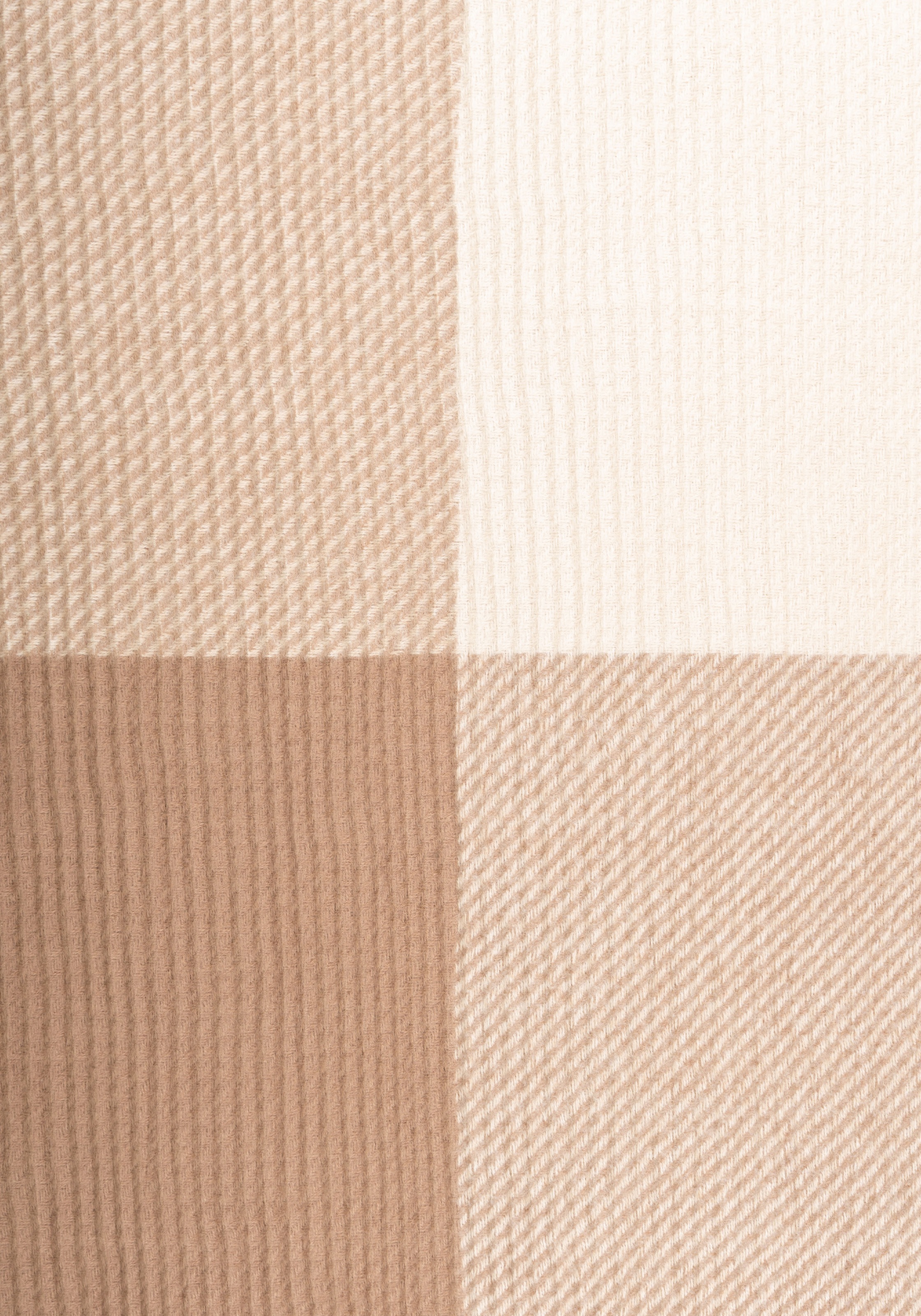 Capelli New York Modeschal tricolor, leichte Fransenkante, Farbverlauf