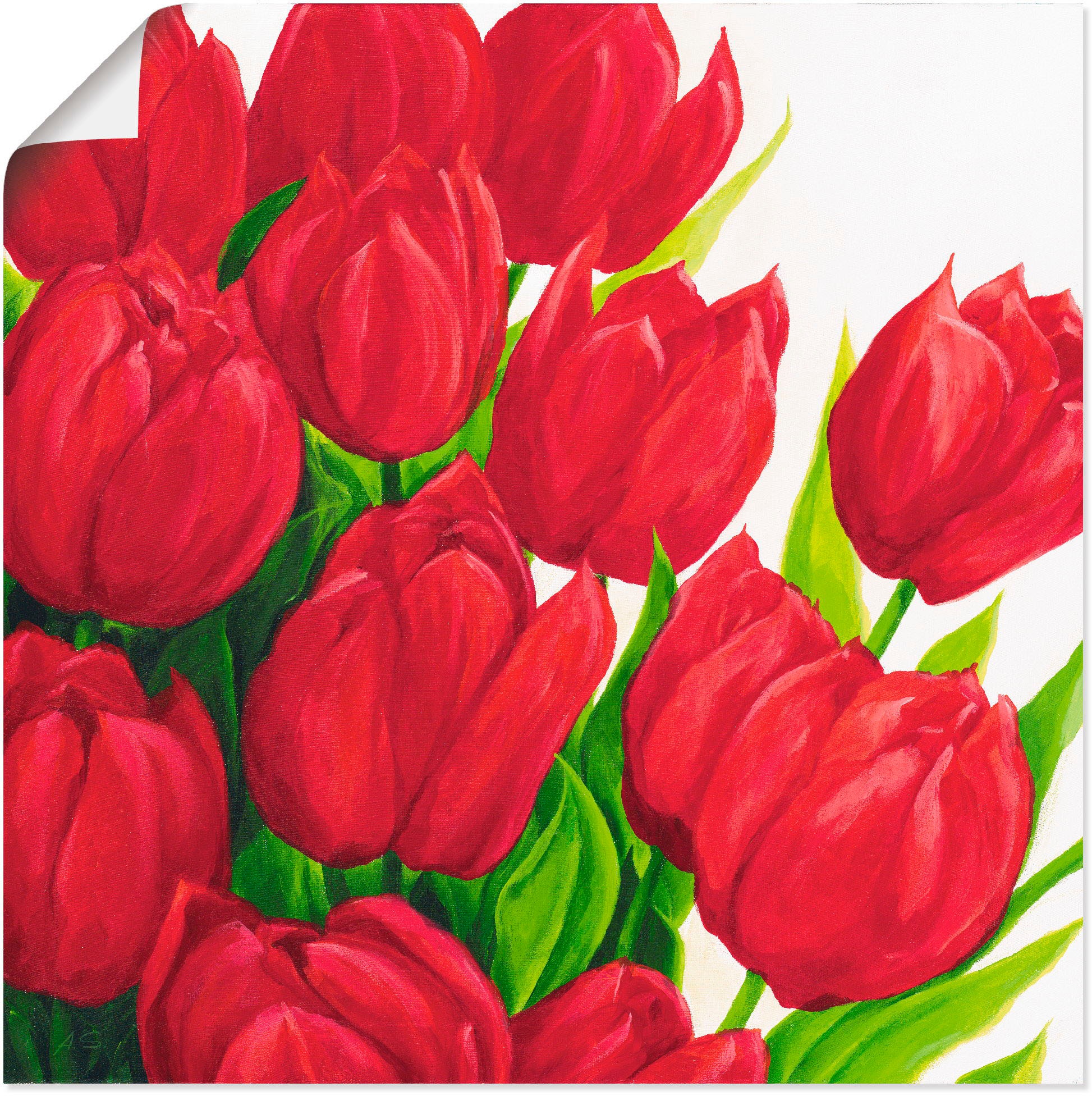 Artland Wandbild »Rote Tulpen«, Blumen, (1 St.), in vielen Größen & Produktarten - Alubild / Outdoorbild für den Außenbereich, Leinwandbild, Poster, Wandaufkleber / Wandtattoo auch für Badezimmer geeignet