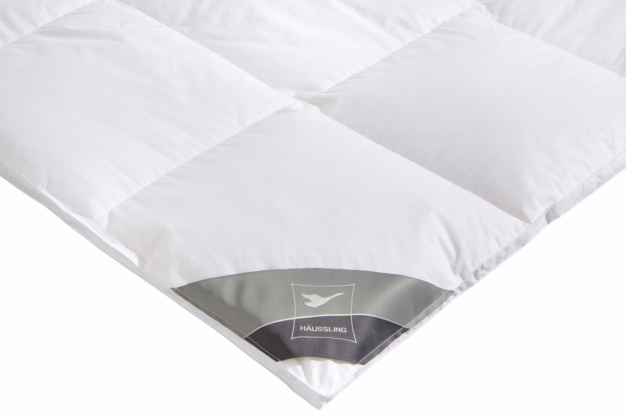 Haeussling Daunenbettdecke + Kopfkissen »Kuscheltraum«, (Spar-Set)