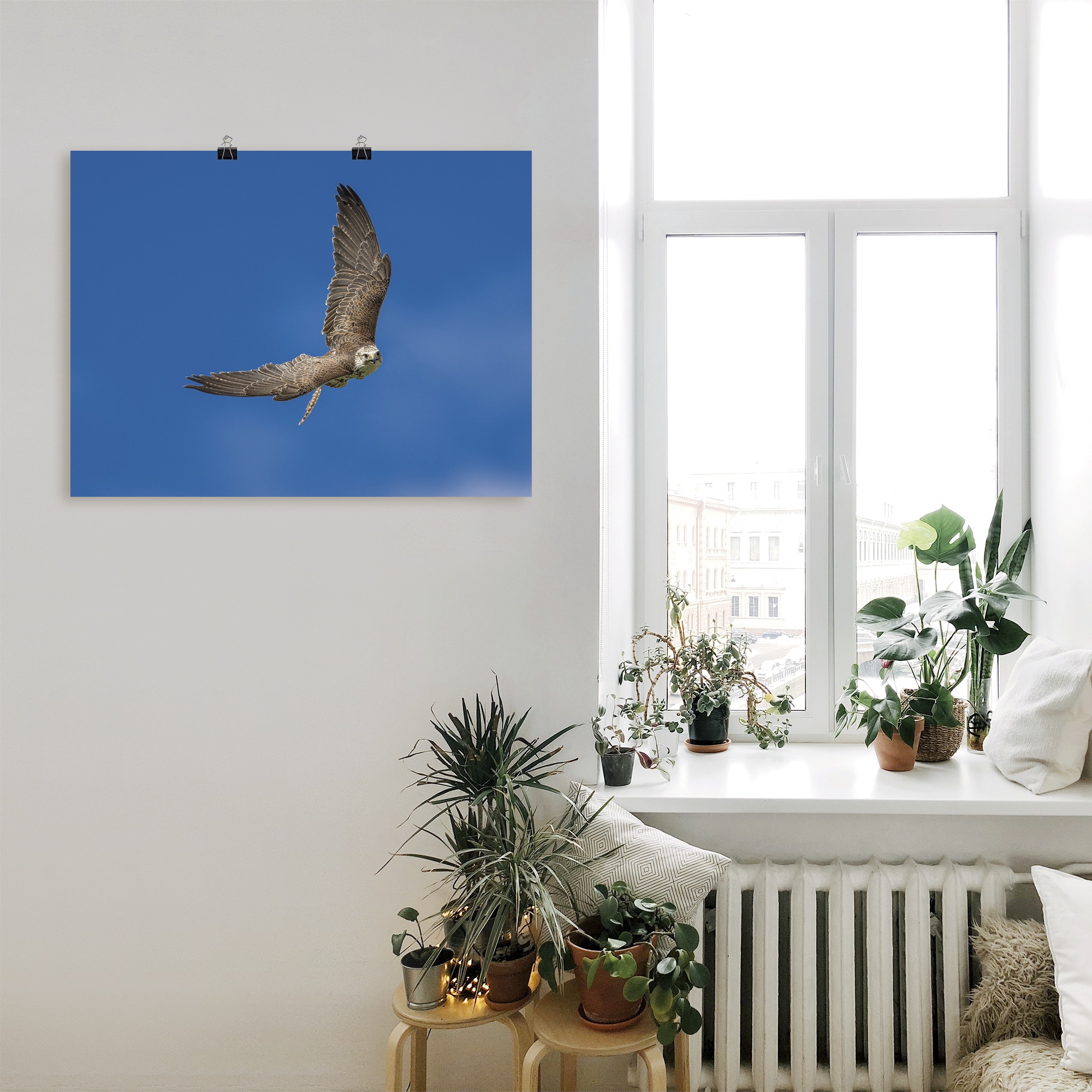 Artland Poster »Der Falke« Vögel 1 Stk. tlg. ohne Rahmen