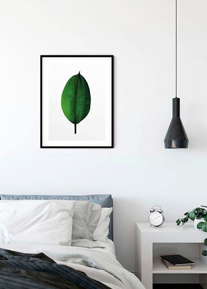 Komar Bild »Ficus Leaf«, Pflanzen-Blätter, (1 St.), Wandbild zur Dekoration - ohne Rahmen