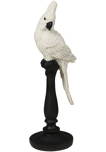 Ambiente Haus Tierfigur »Papagei Figur«, (1 St.) kaufen