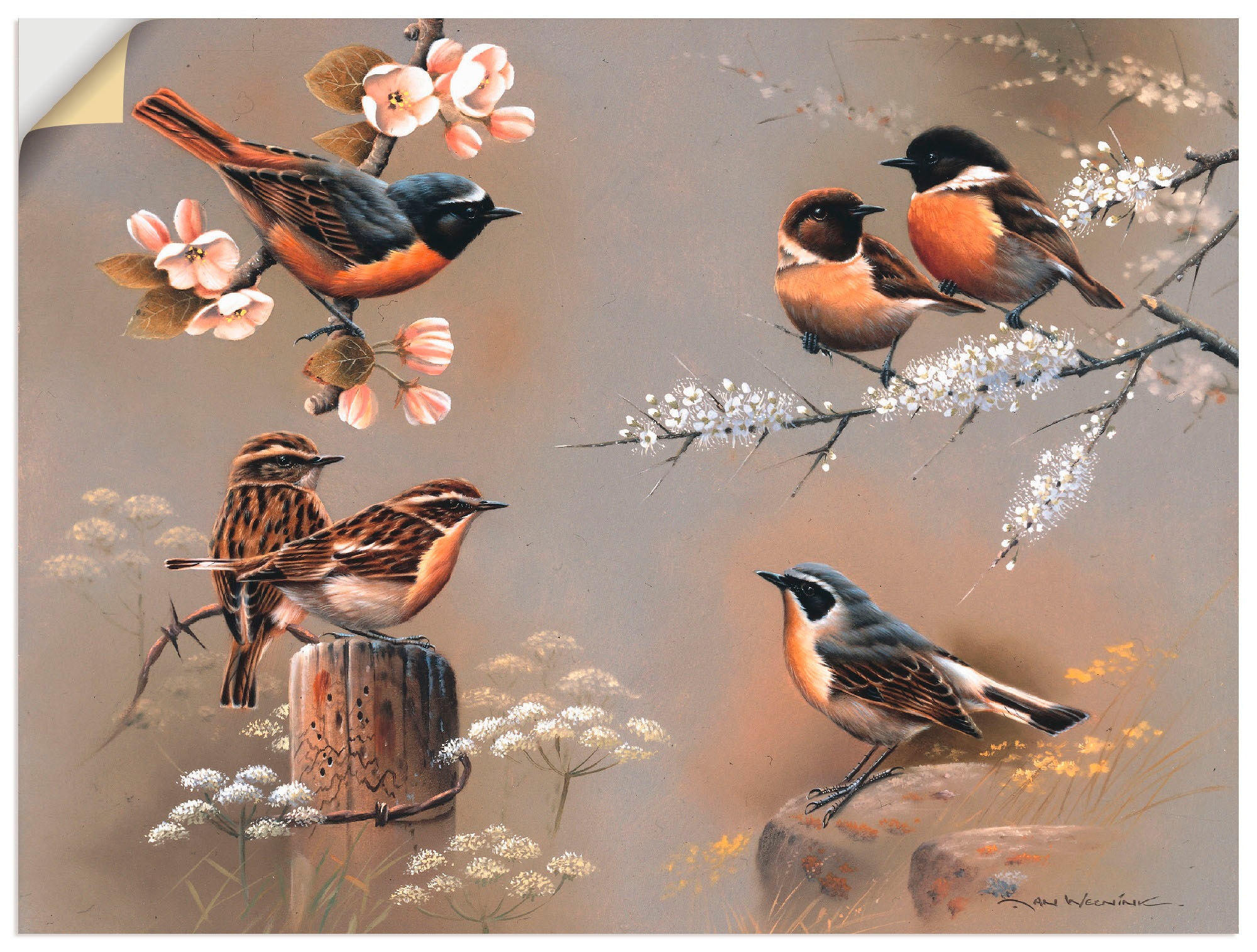 Artland Wandbild »Vogel Komposition«, Vögel, (1 St.), in vielen Größen & Produktarten -Leinwandbild, Poster, Wandaufkleber / Wandtattoo auch für Badezimmer geeignet