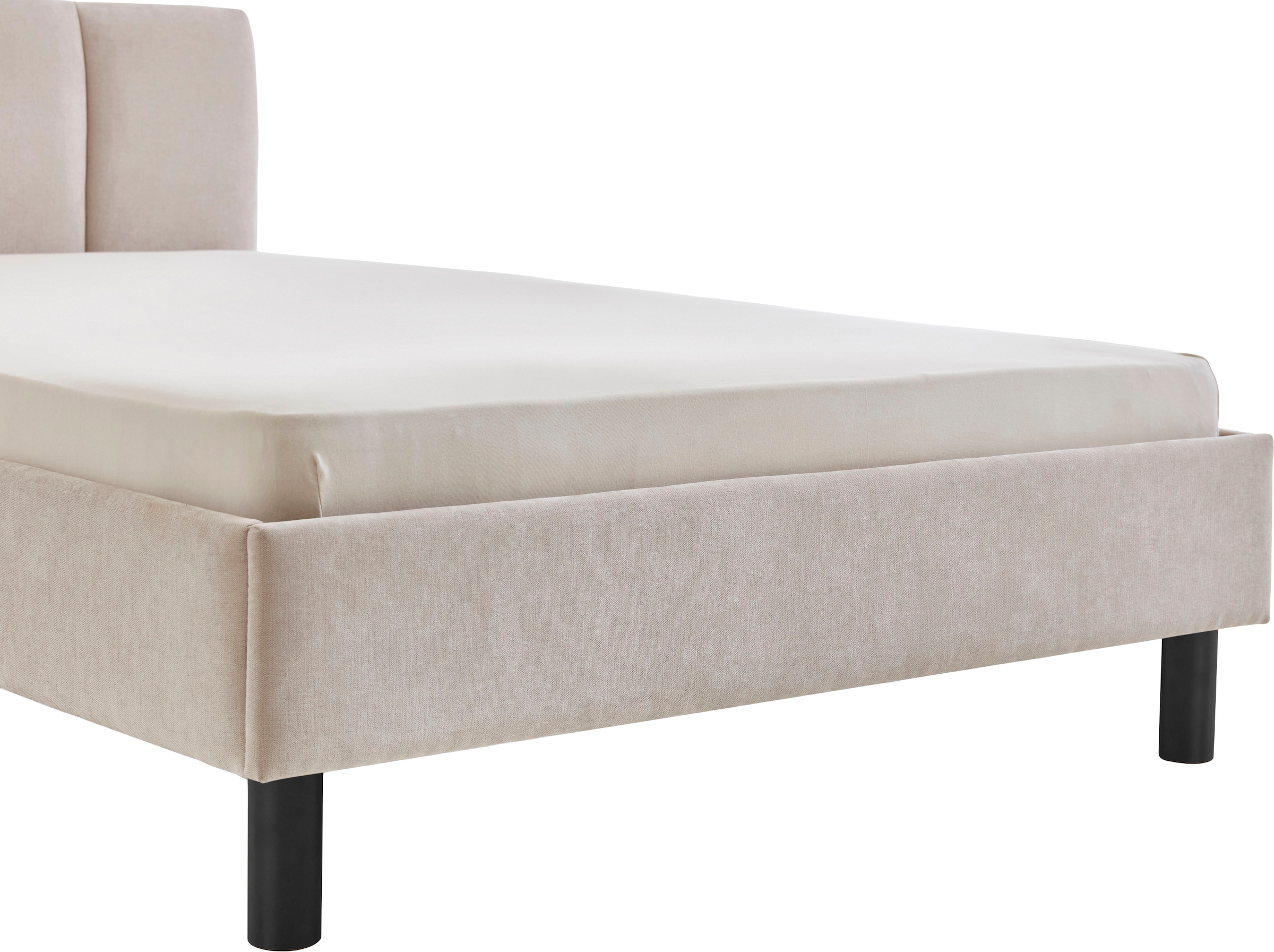 meise.möbel Polsterbett »Joker, in verschiedenen Breiten und Farben erhältlich« wahlweise mit schwarzem oder eichefarbigem Holzfuß