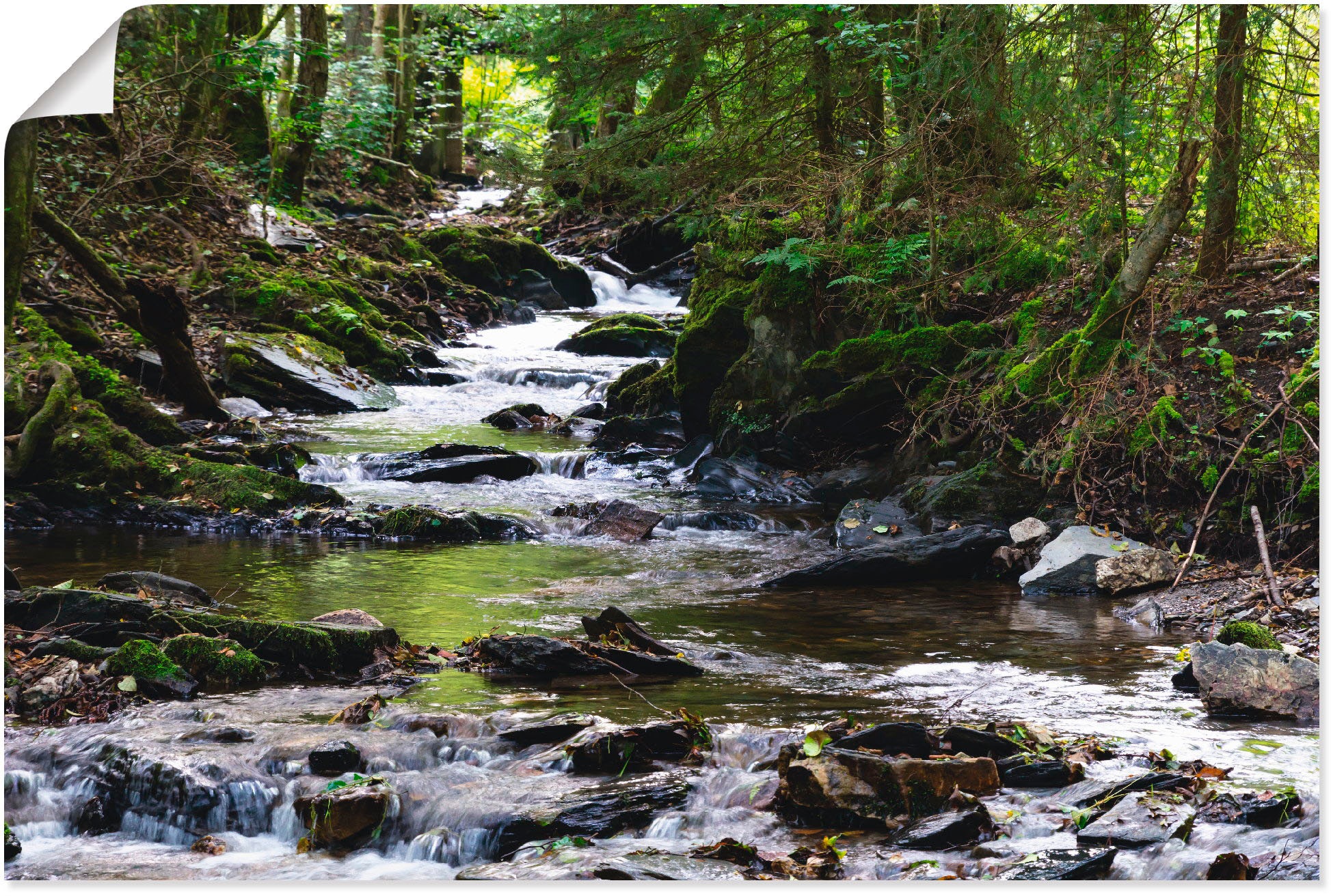 Artland Wandbild »Bachlauf im Wald«, Gewässer, (1 St.), in vielen Größen & Produktarten - Alubild / Outdoorbild für den Außenbereich, Leinwandbild, Poster, Wandaufkleber / Wandtattoo auch für Badezimmer geeignet