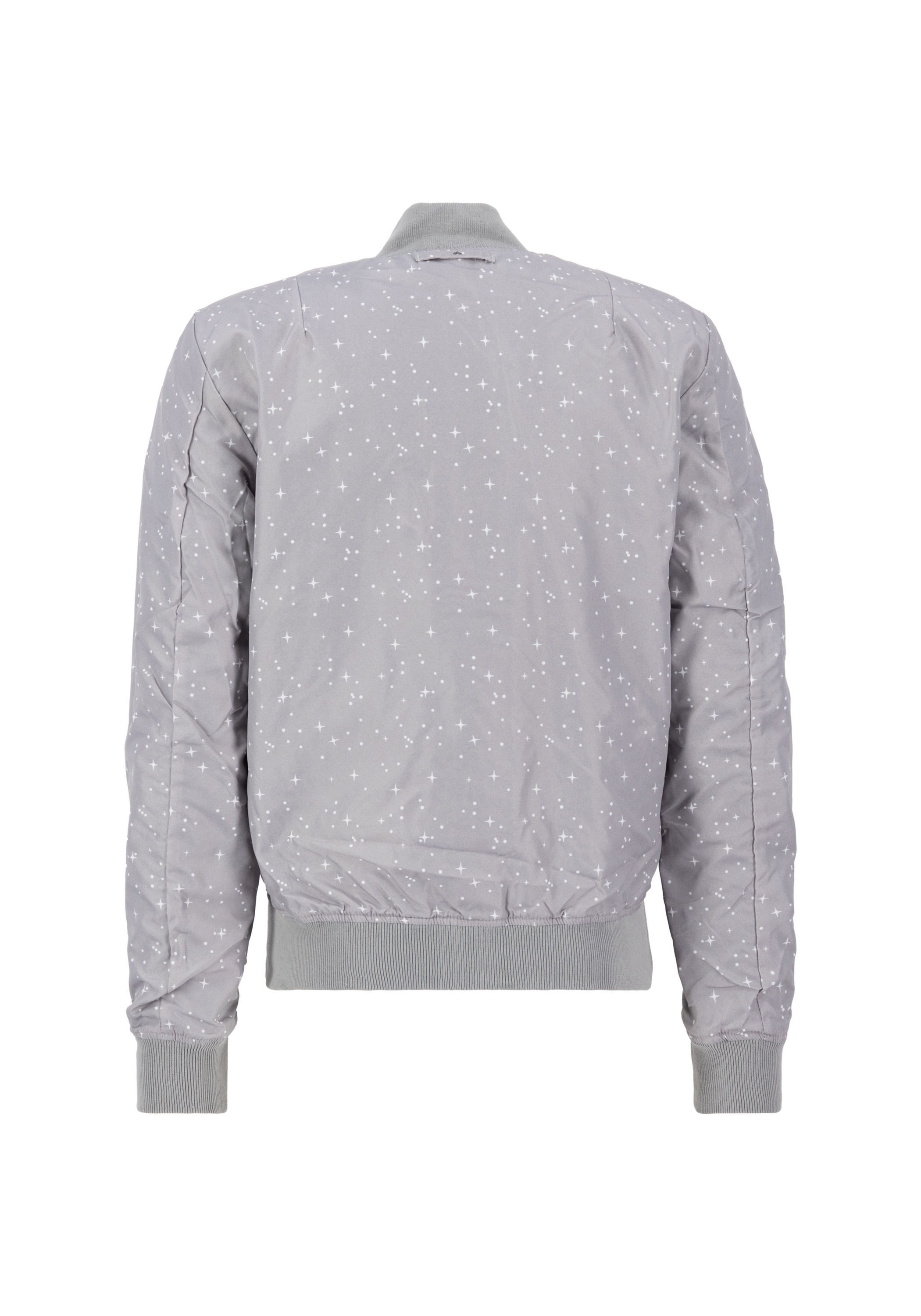 Alpha Industries Bomberjacke »MA-1 TT NASA Reversible II«