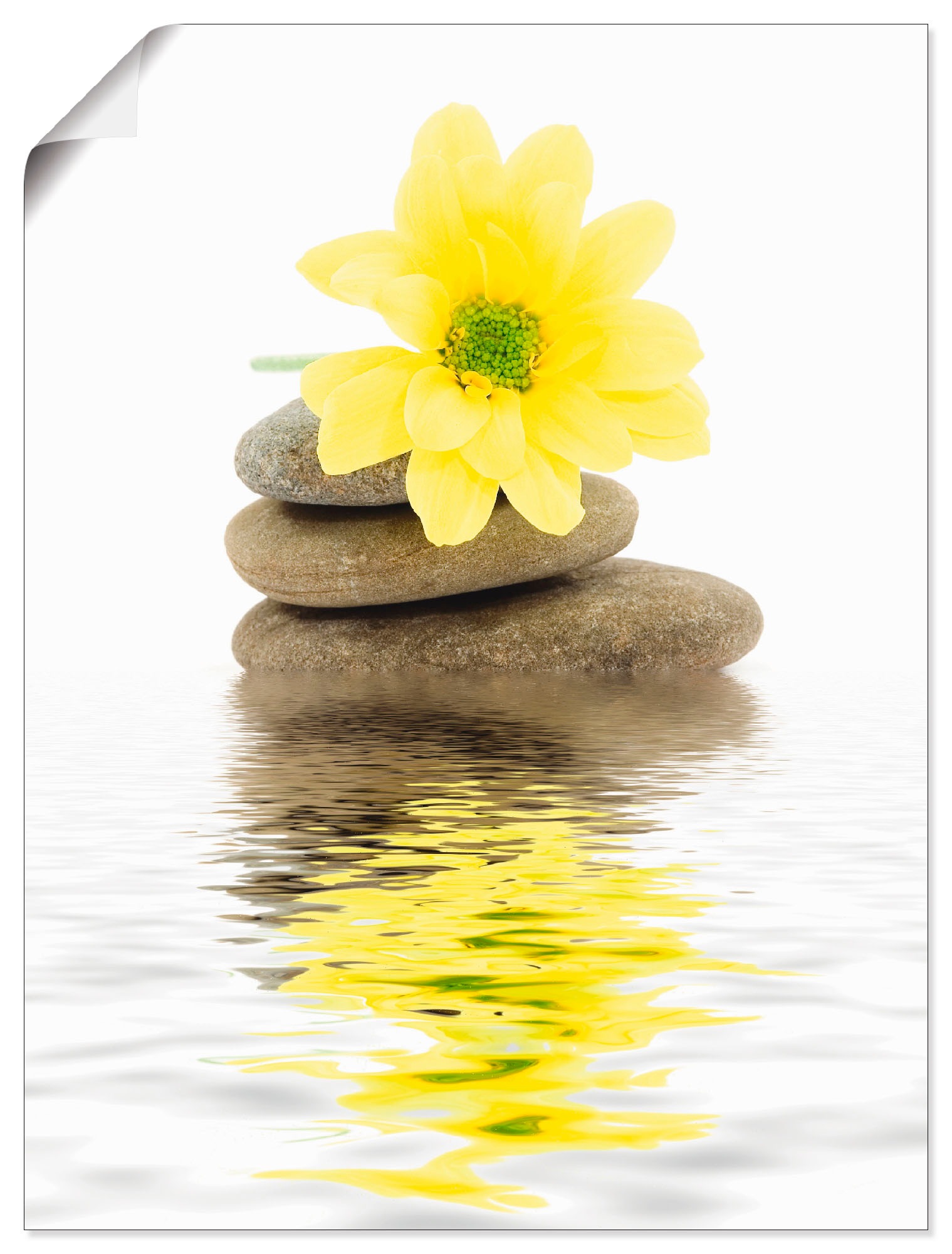 Artland Wandbild »Zen Spa Steine mit Blumen II«, Zen, (1 St.), in vielen Größen & Produktarten - Alubild / Outdoorbild für den Außenbereich, Leinwandbild, Poster, Wandaufkleber / Wandtattoo auch für Badezimmer geeignet