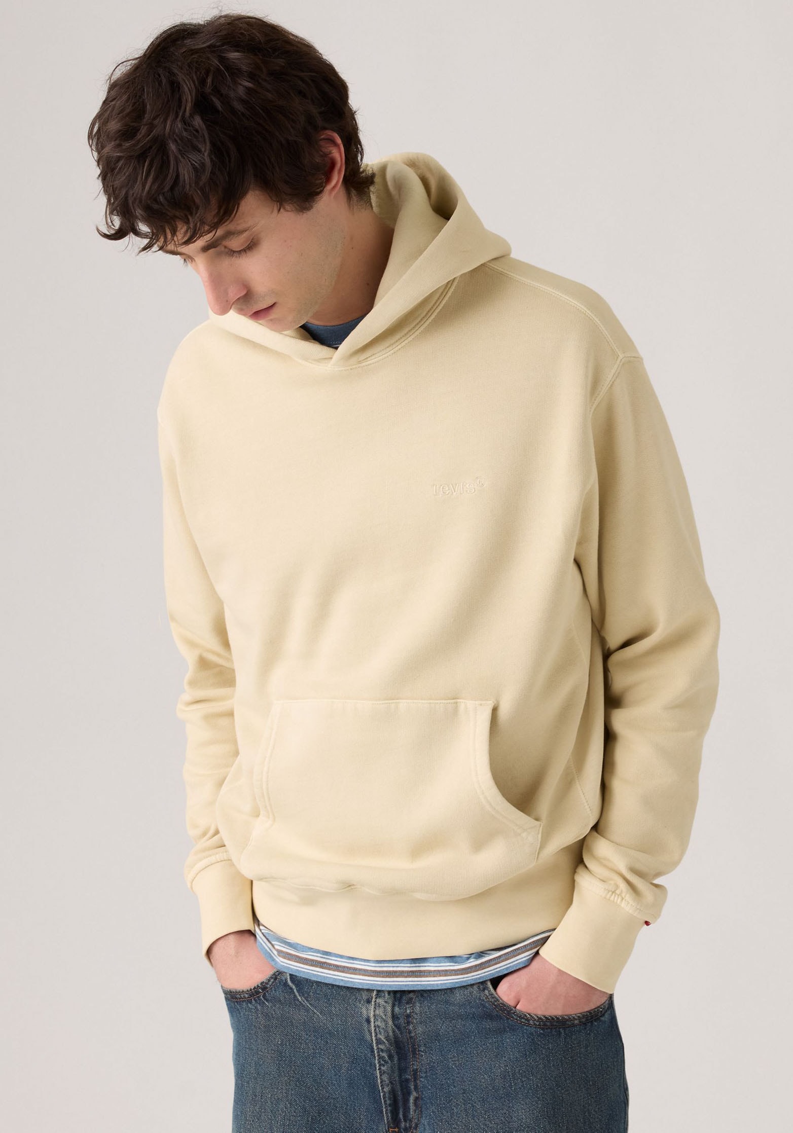 Levi's® Hoodie »THE AUTHENTIC HOODIE«, mit kleiner Ton-in-Ton Logostickerei auf der Brust