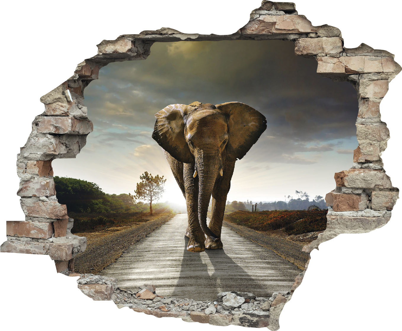 queence Wandtattoo »Elefant«