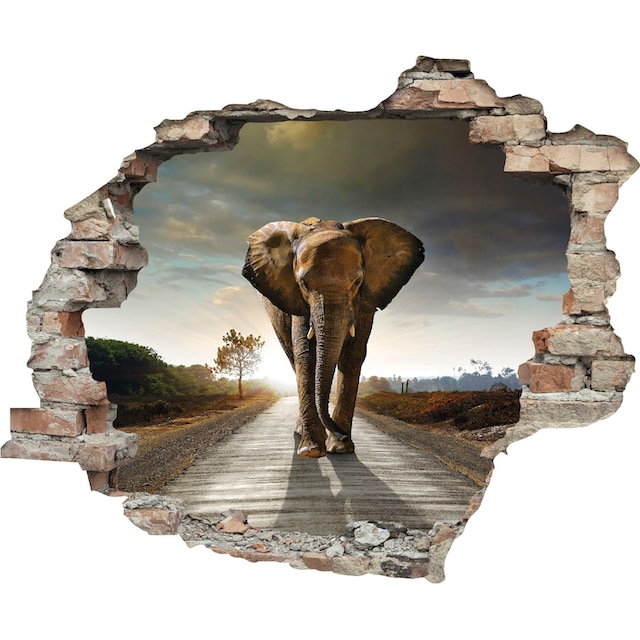 queence Wandtattoo »Elefant«, (1 St.) im OTTO Online Shop