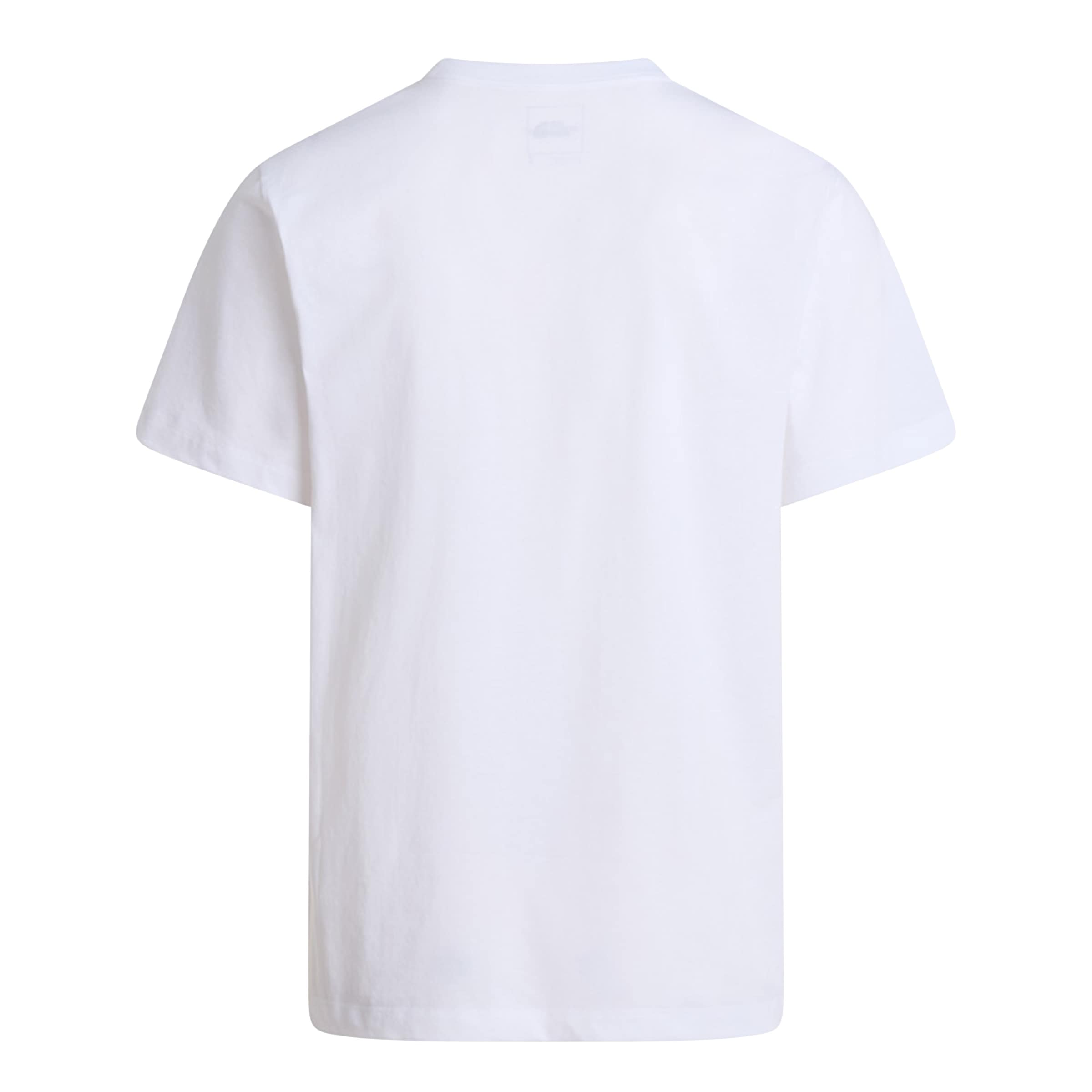 The North Face T-Shirt »M EVOLUTION SIMPLE DOME REGULAR SHORT SL« normale Passform, Kurzarm, für den Alltag, aus Baumwolle