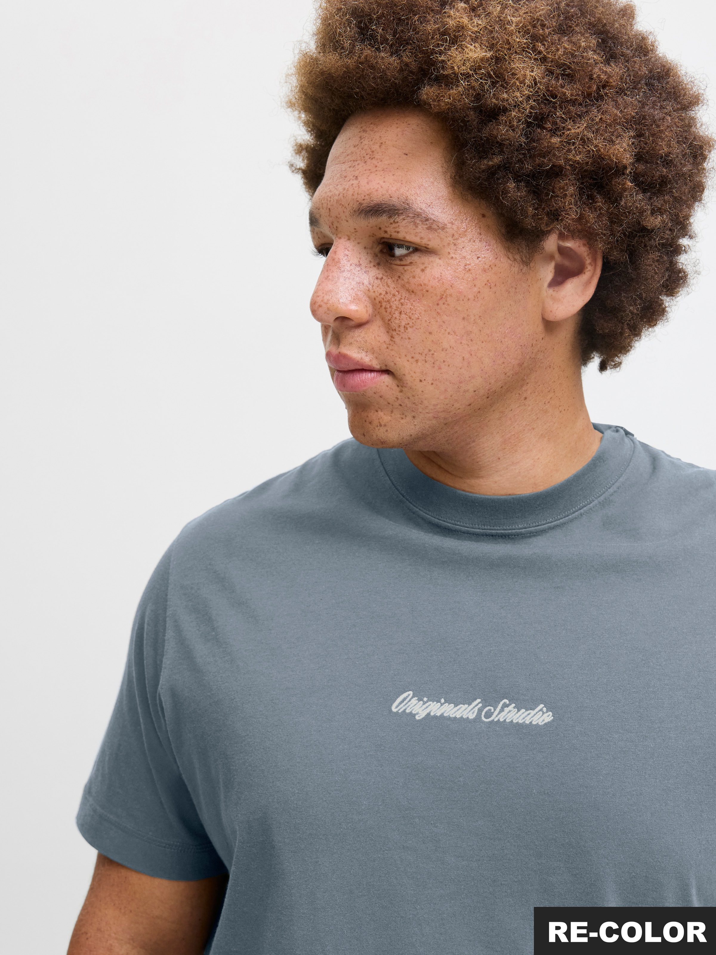Jack & Jones PlusSize T-Shirt »JORNORREBRO EMB TEE SS CREW NECK PLS«