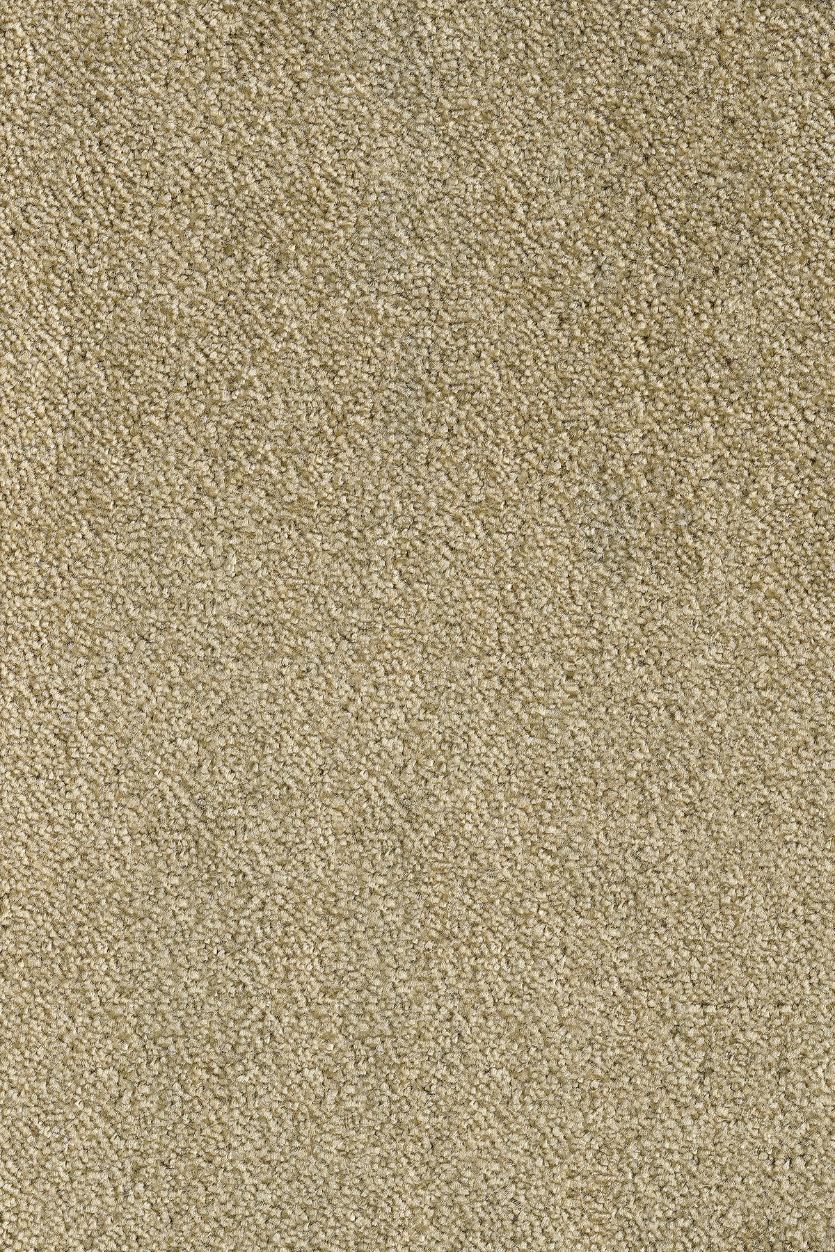 Andiamo Teppichboden »Levin grün«, rechteckig, 10 mm Höhe, Meterware, Breite 400 cm, uni, schallschluckend