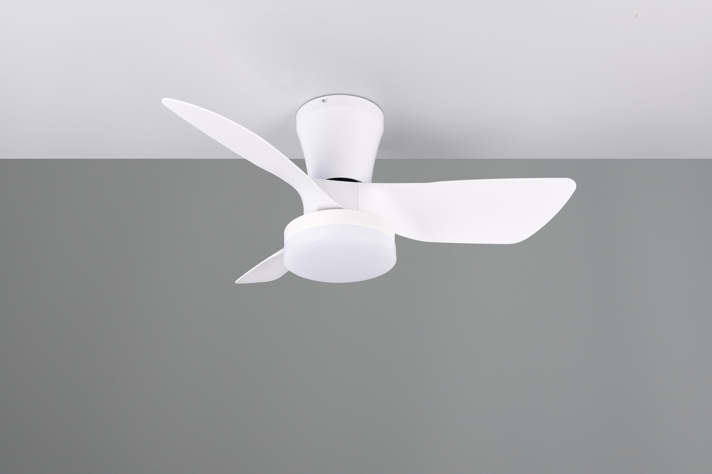 REALITY Leuchten LED Deckenleuchte »RANDERS mit Ventilator, Deckenventilator mit Licht inkl Fernbedienung« LED-Board 1 Stk. warmweiß - kaltweiß 6 Geschwindigkeiten Timer Vor- & Rücklauf LED dimmbar CCT Nachtlicht