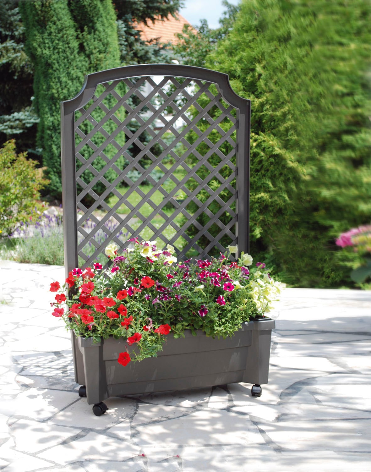 KHW Spalier, Pflanzkasten auf Rollen mit Bewässerungssystem, BxTxH: 79x35x134 cm