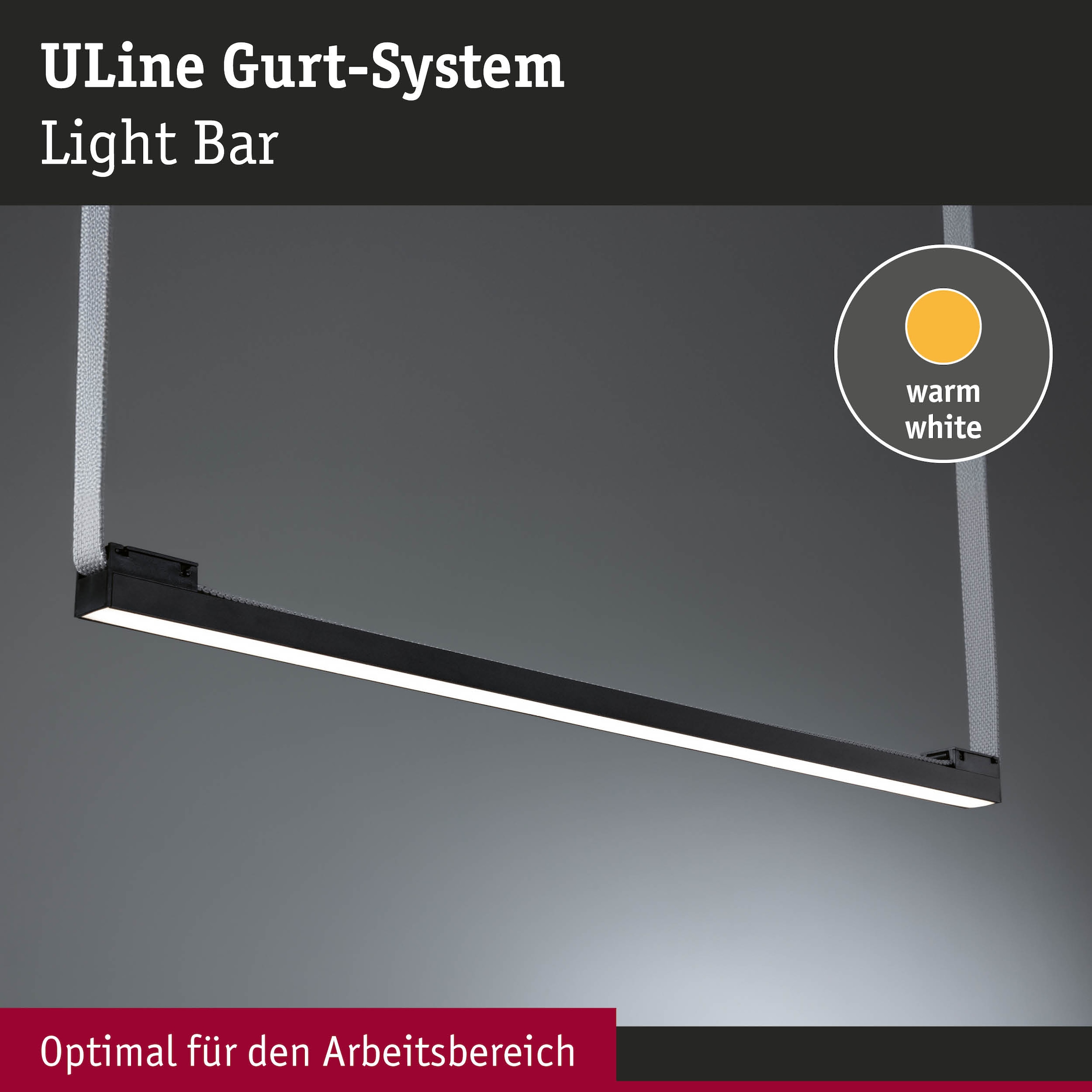 Paulmann Hängeleuchte »ULine Spot Lightbar  650x29mm 18,5W Schwarz« 1 Stk. Warmweiß