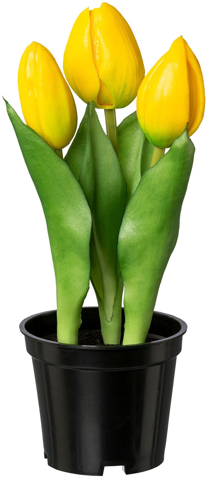 Creativ green Kunstblume »Tulpe«, mit real-touch-Blüten