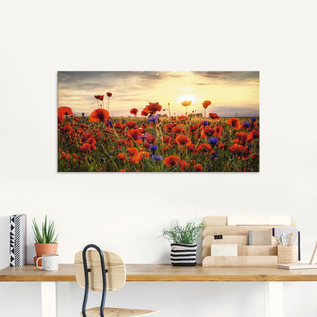 Artland Glasbild »Mohnblumen«, Blumen, (1 St.)