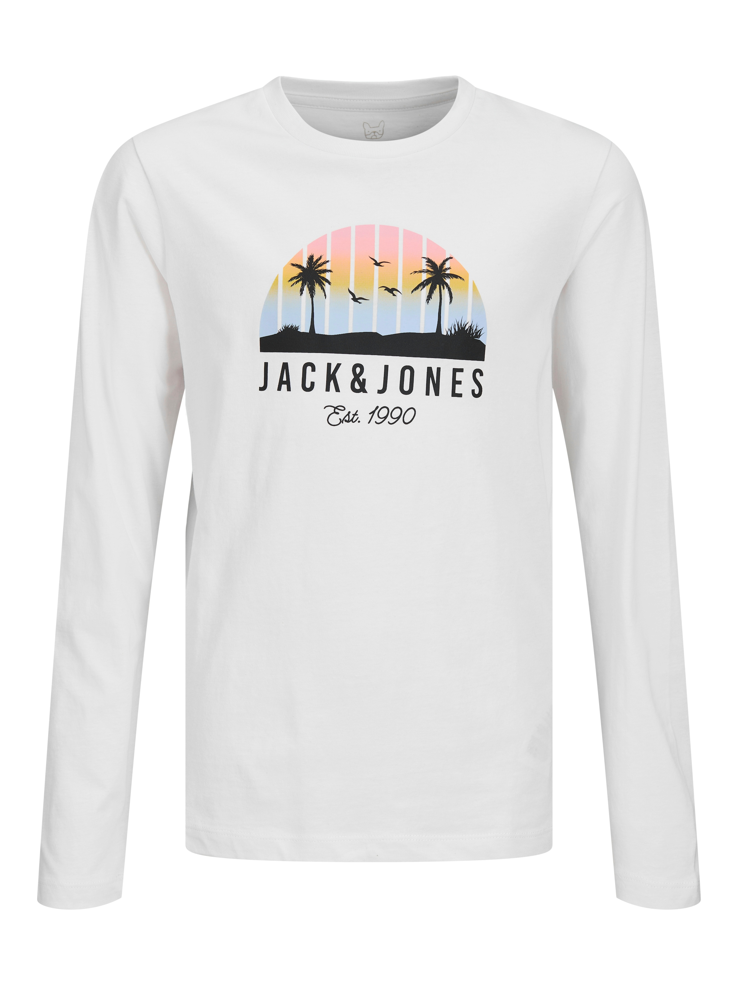 Jack & Jones Junior Langarmshirt »JJPALM TEE LS CREW NECK JNR«