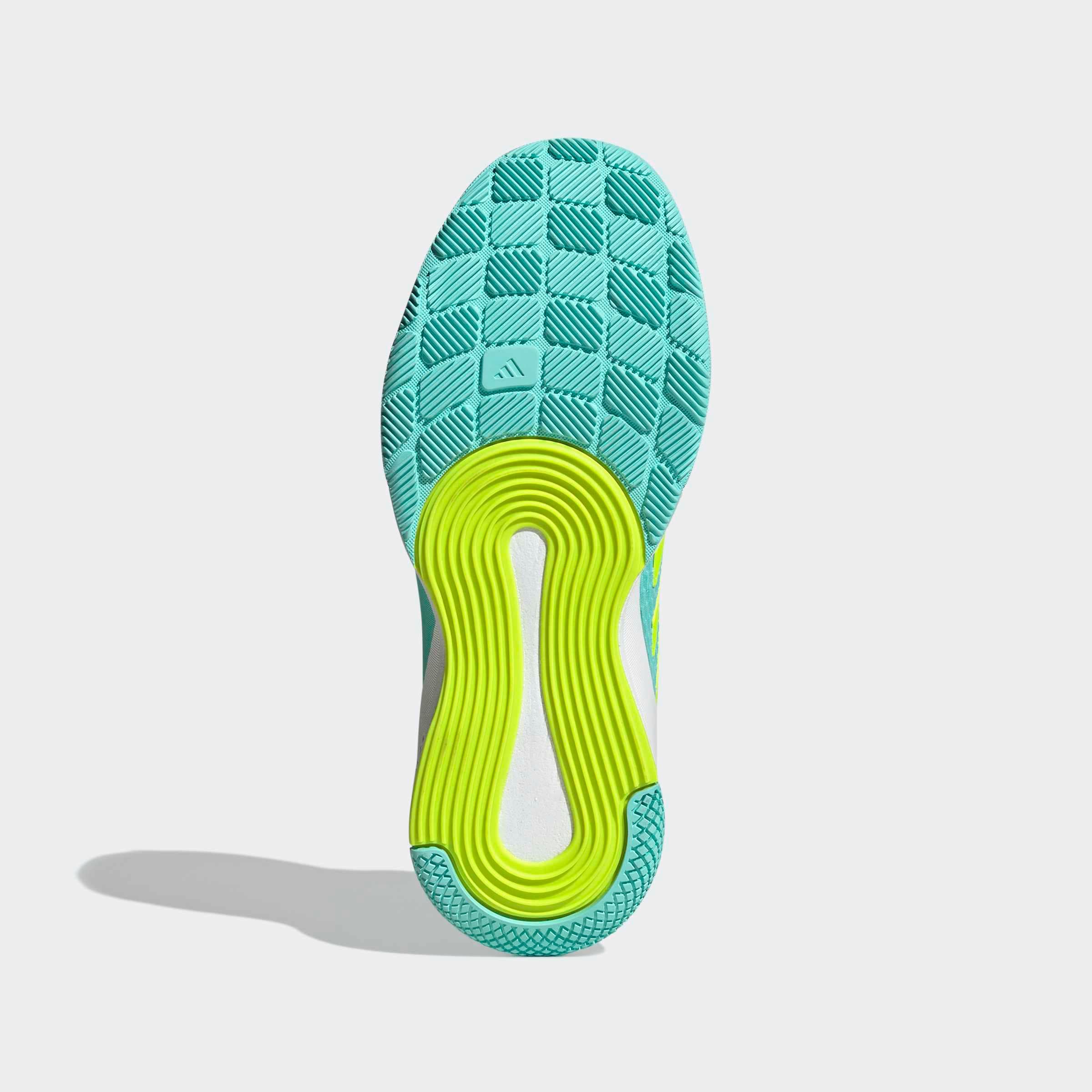 adidas Performance Hallenschuh »NOVAFLIGHT 2 INDOOR«  Volleyballschuh