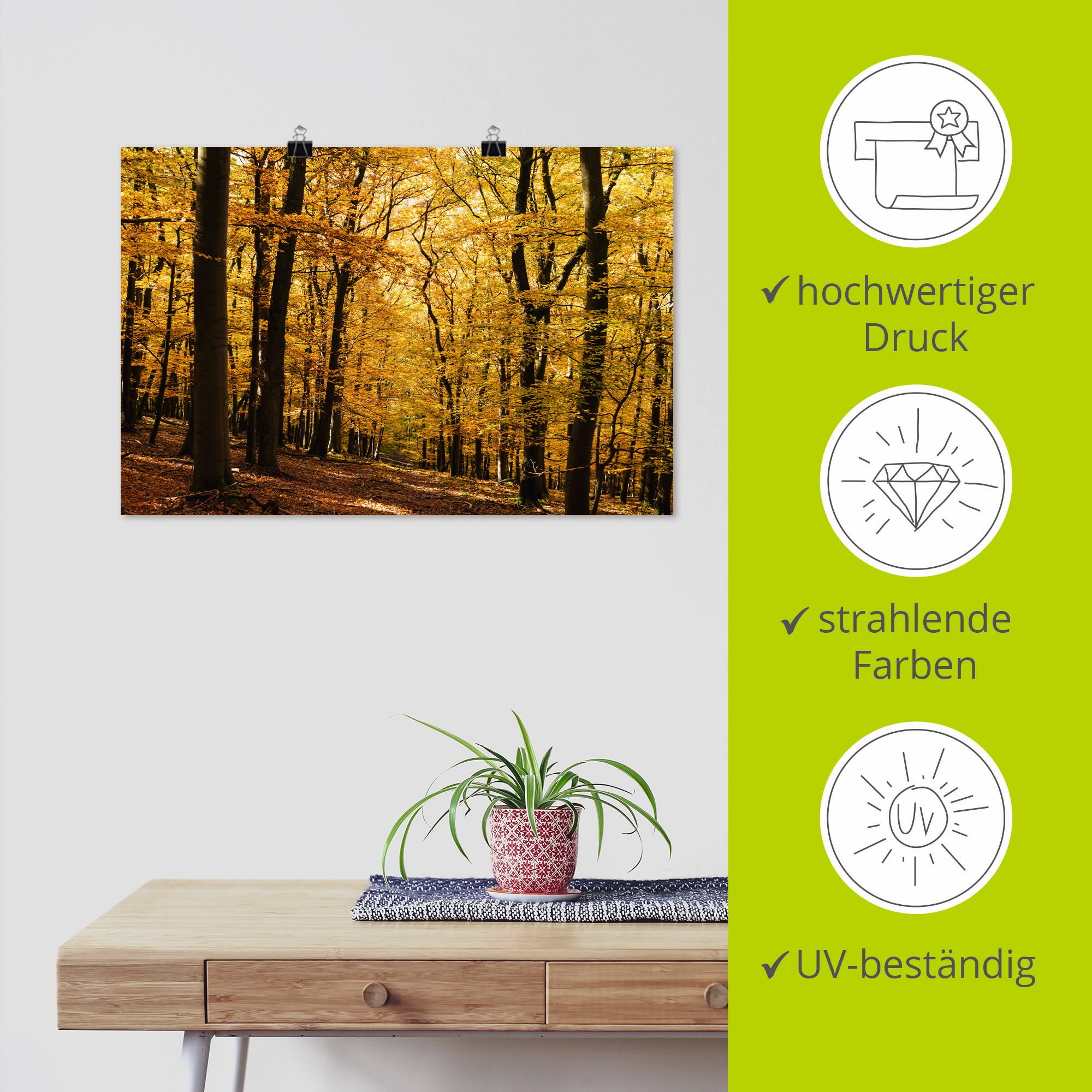 Artland Wandbild »Spaziergang im Herbstwald«, Wald, (1 St.), als Alubild, Outdoorbild, Leinwandbild, Poster in verschied. Größen