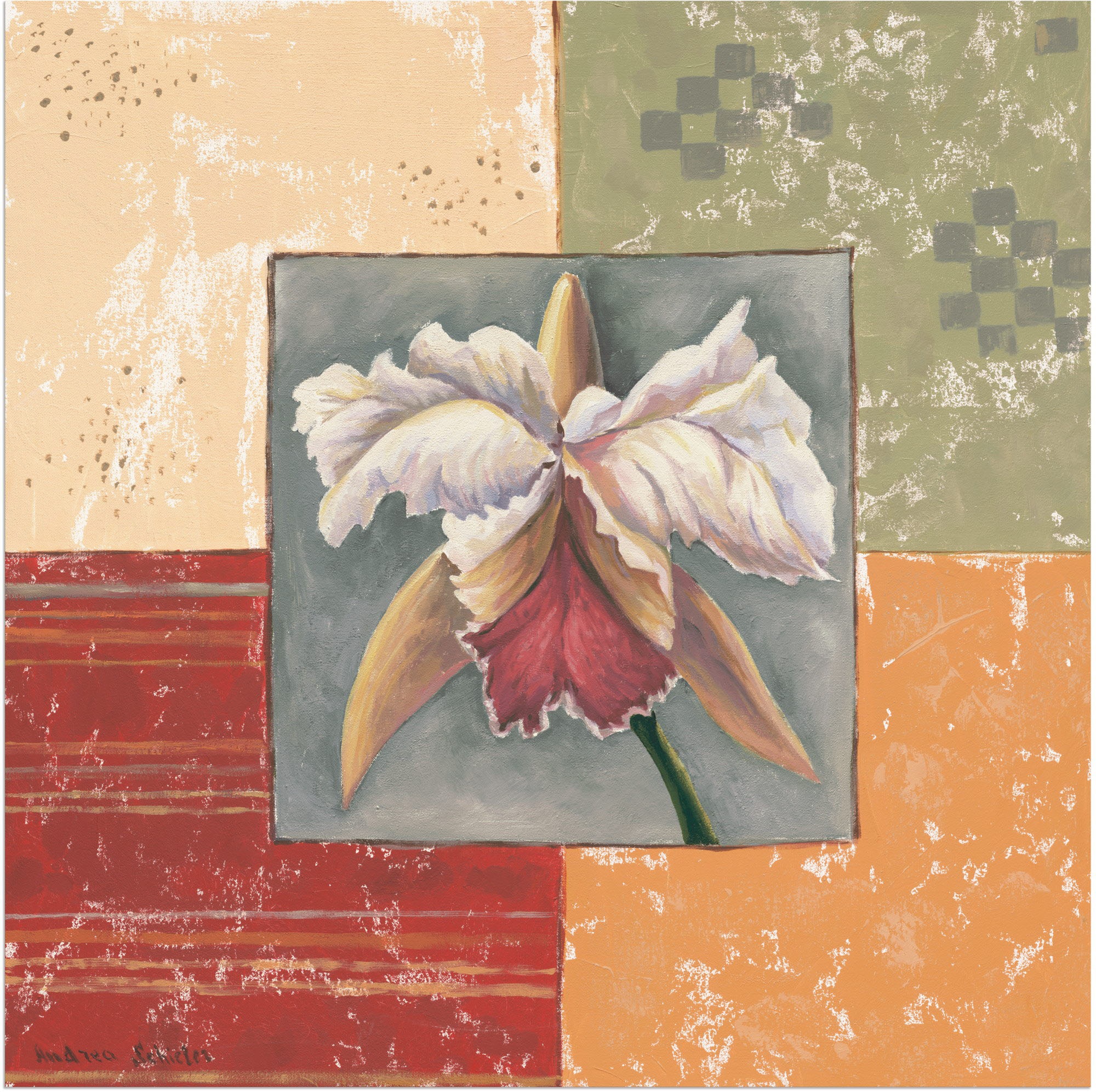 Artland Wandbild »Orchidee«, Blumenbilder, (1 St.), als Alubild,  Leinwandbild, Wandaufkleber oder Poster in versch. Größen online bei OTTO
