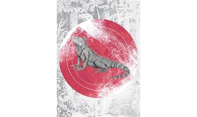 Komar Poster »Iguana Circle«, Tiere, Höhe: 40cm kaufen