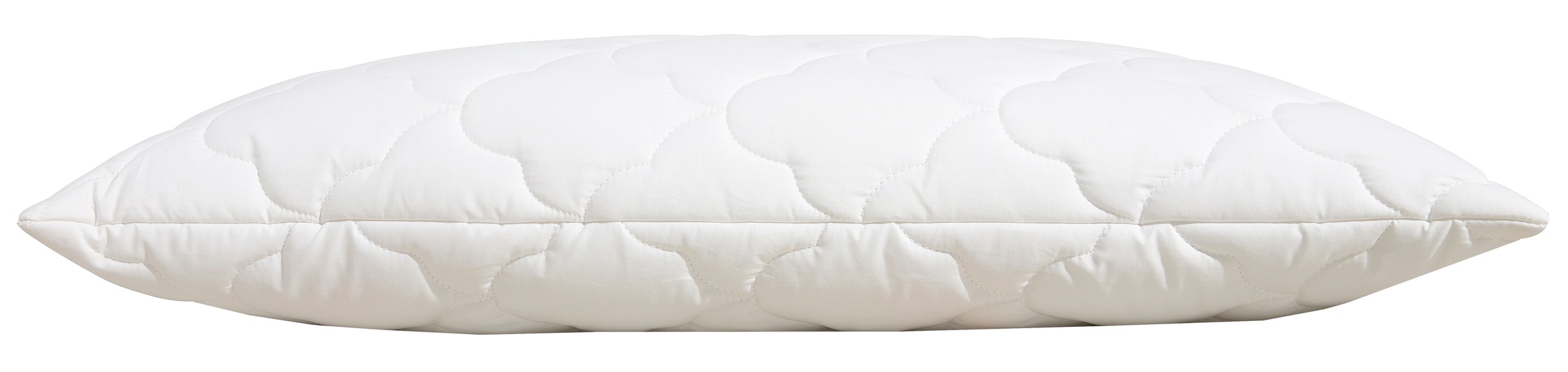 Beco Kopfkissen »EcoWell«, Füllung: Polyester, Bezug: Bio-Baumwolle oder Microfaser-Feinbatist samtweich, (1 St.), Kissen in den Größen 40x80 cm und 80x80 cm erhältlich!