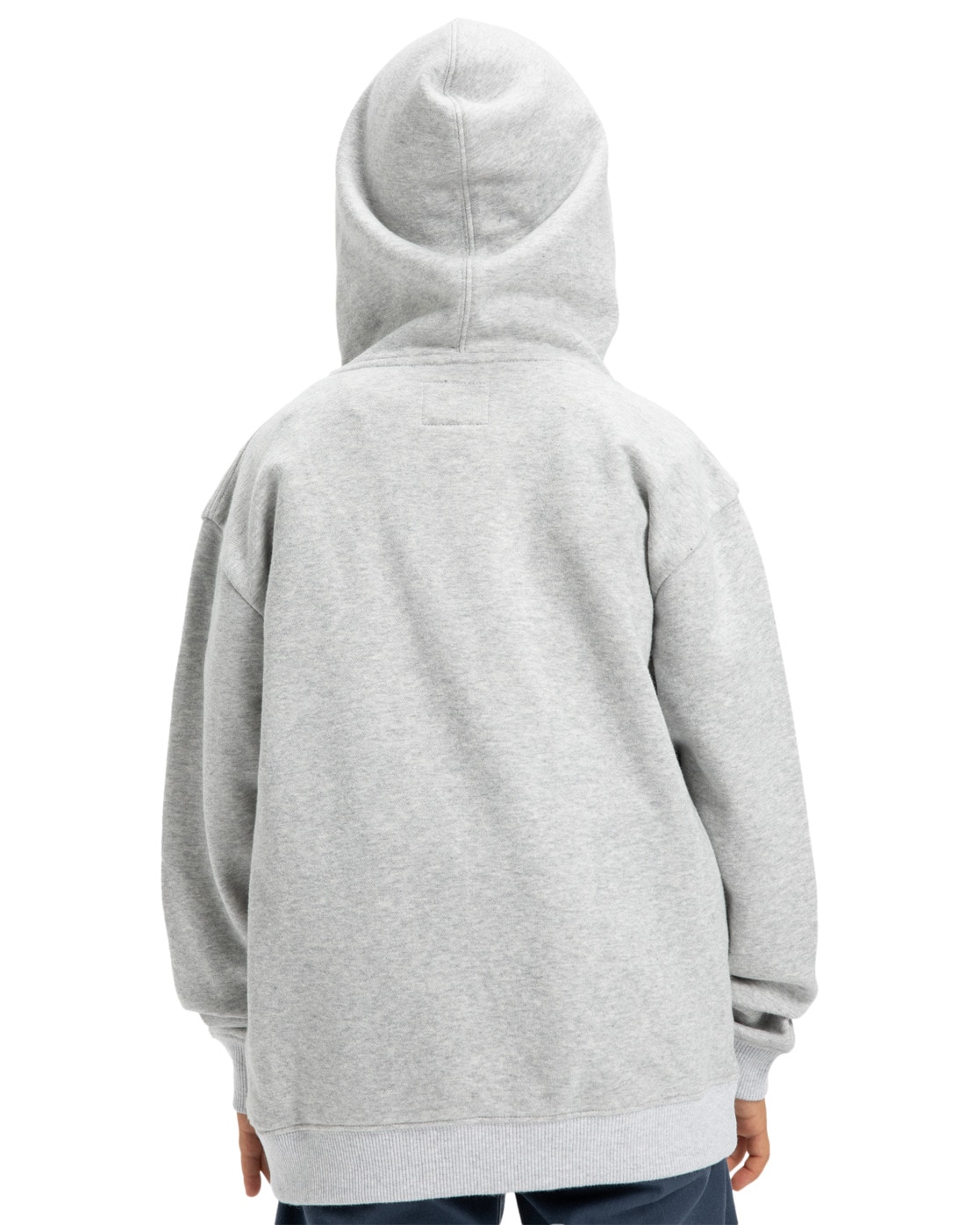 DC Shoes Kapuzensweatshirt »Substitute«